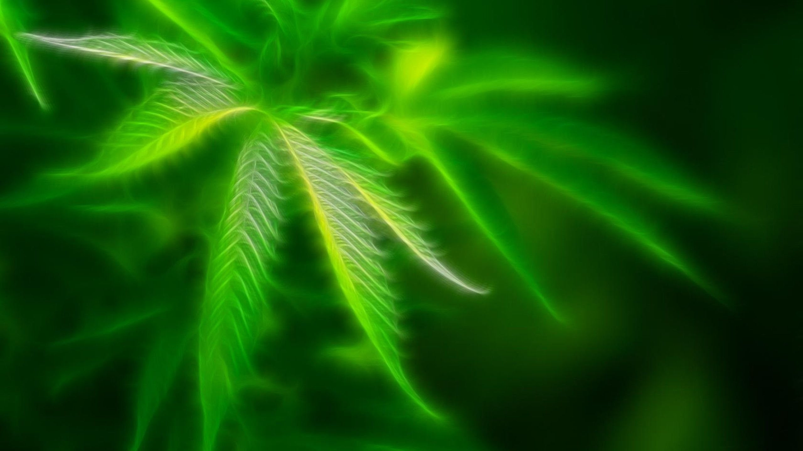 420, psychedelic, drug, rasta, reggae, cannabis, trippy, drugs, weed, marijuana, 2K, nature, plant, HD Wallpaper