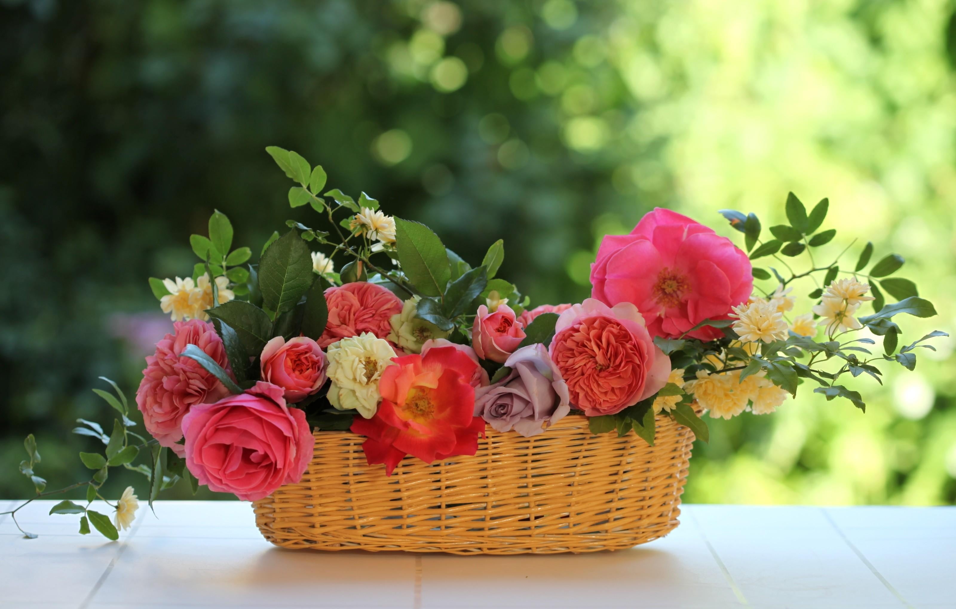 bunch of flowers, flowers, romance, wood - Material, decoration, nature, freshness, pink Color, decor, day, red, shopping, multi Colored, composition, rose - Flower, HD Wallpaper