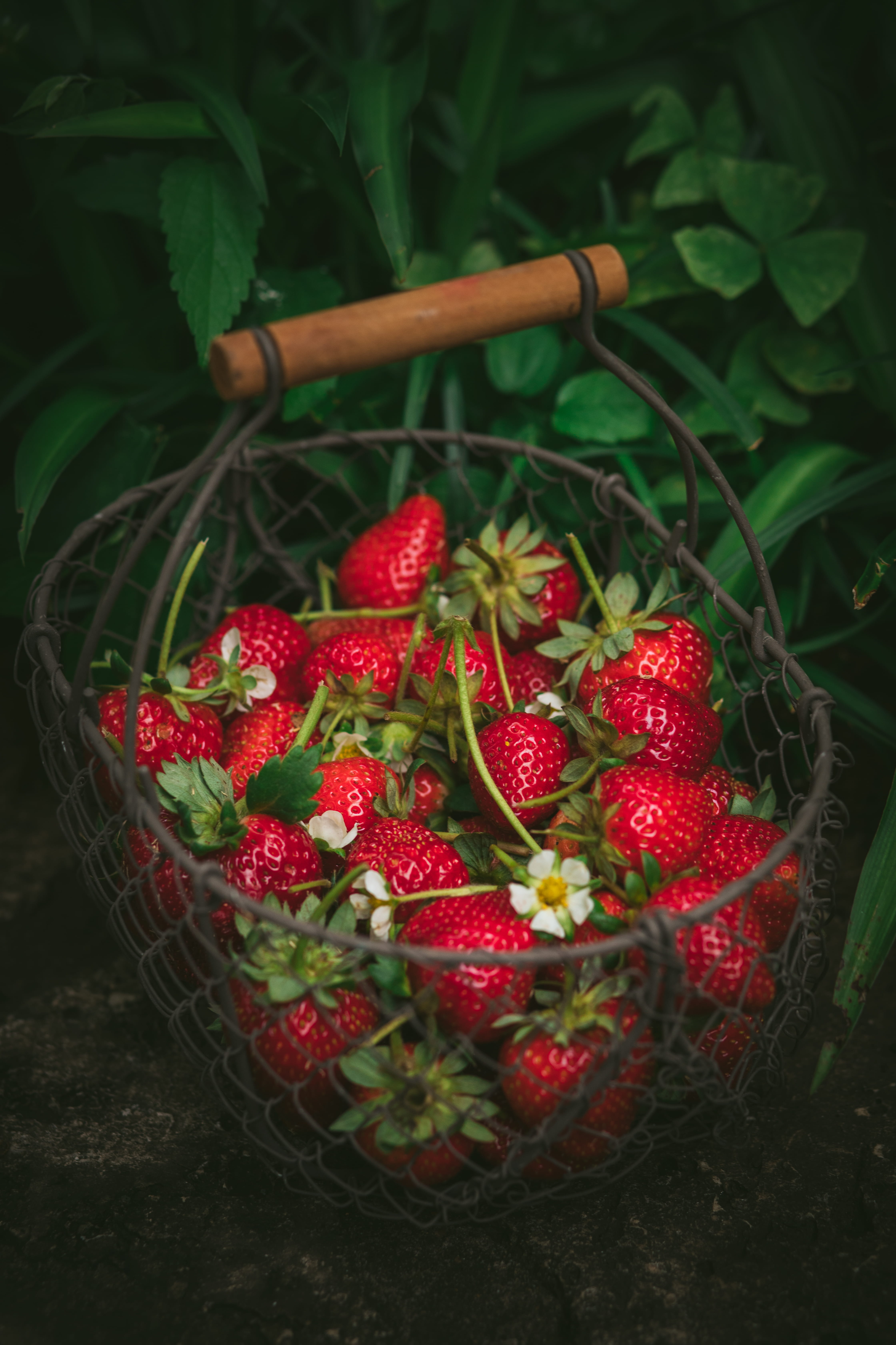 summer, day, basket, leaf, 5K, strawberry, shopping basket, freshness, fondue, plant, berry, strawberries, green color, foodphotography, garden, berry fruit, Phone HD Wallpaper