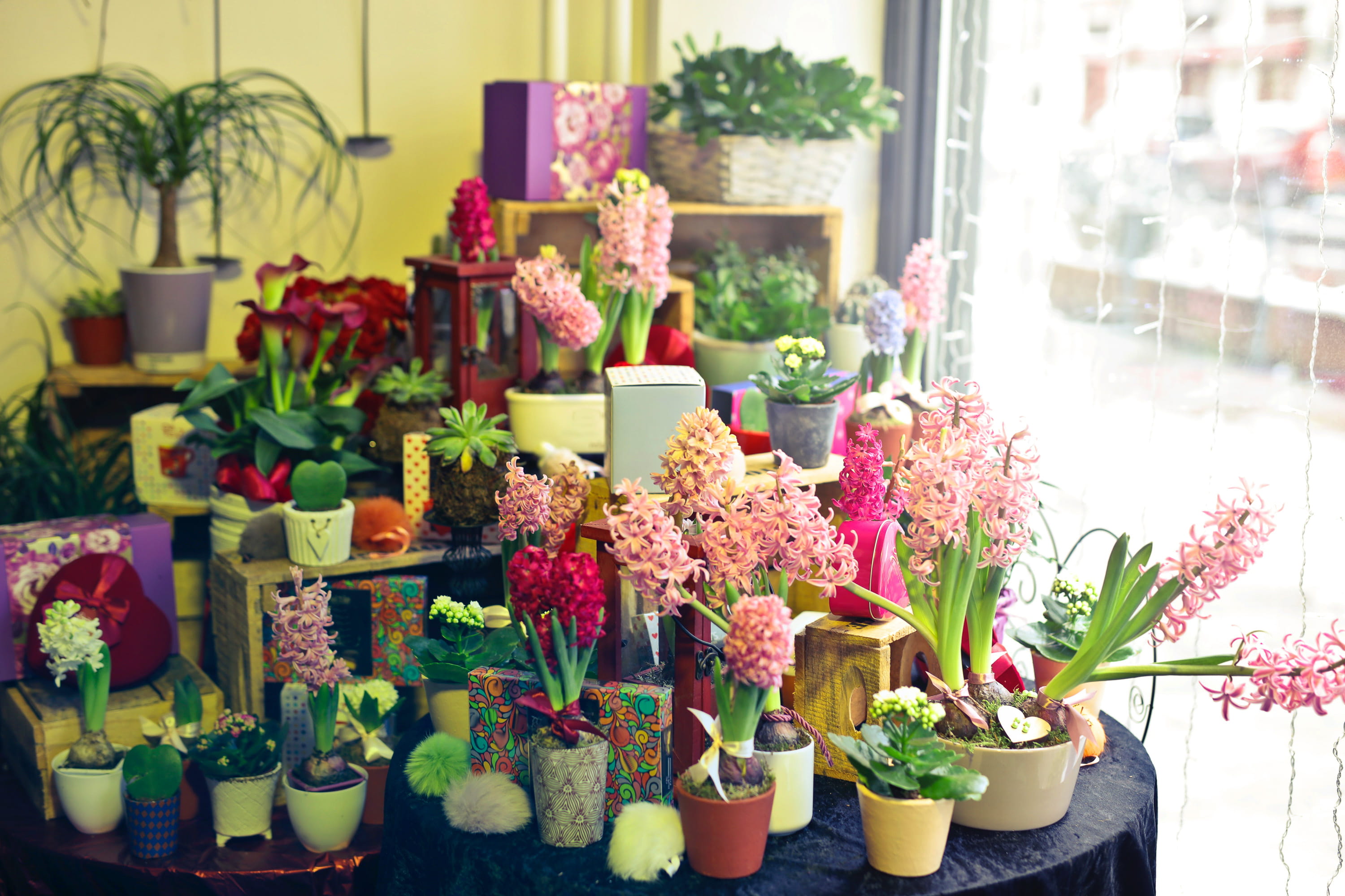 arrangement, light, store, flowers, color, day light, bouquet, pink, 2K, shop, day, freshness, for sale, indoors, flora, vulnerability, sale, flower shop, HD Wallpaper