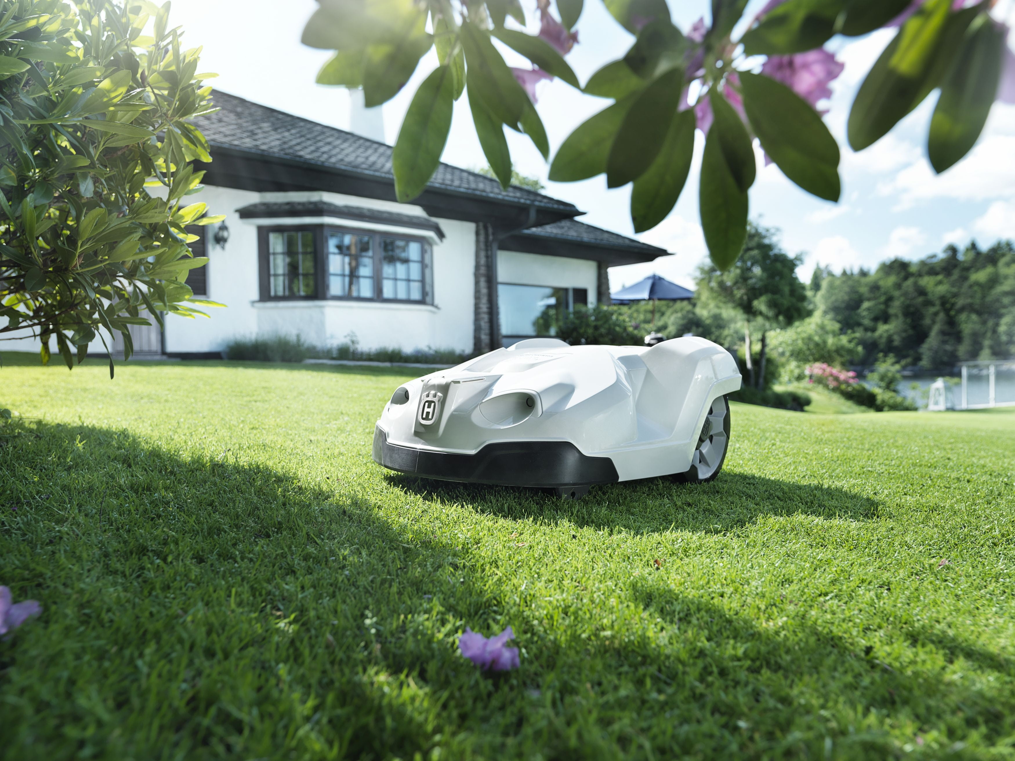 motor vehicle, front or back yard, grass, building, robot lawnmower, transportation, green color, nature, plant, car, palm tree, garden, building exterior, HD Wallpaper