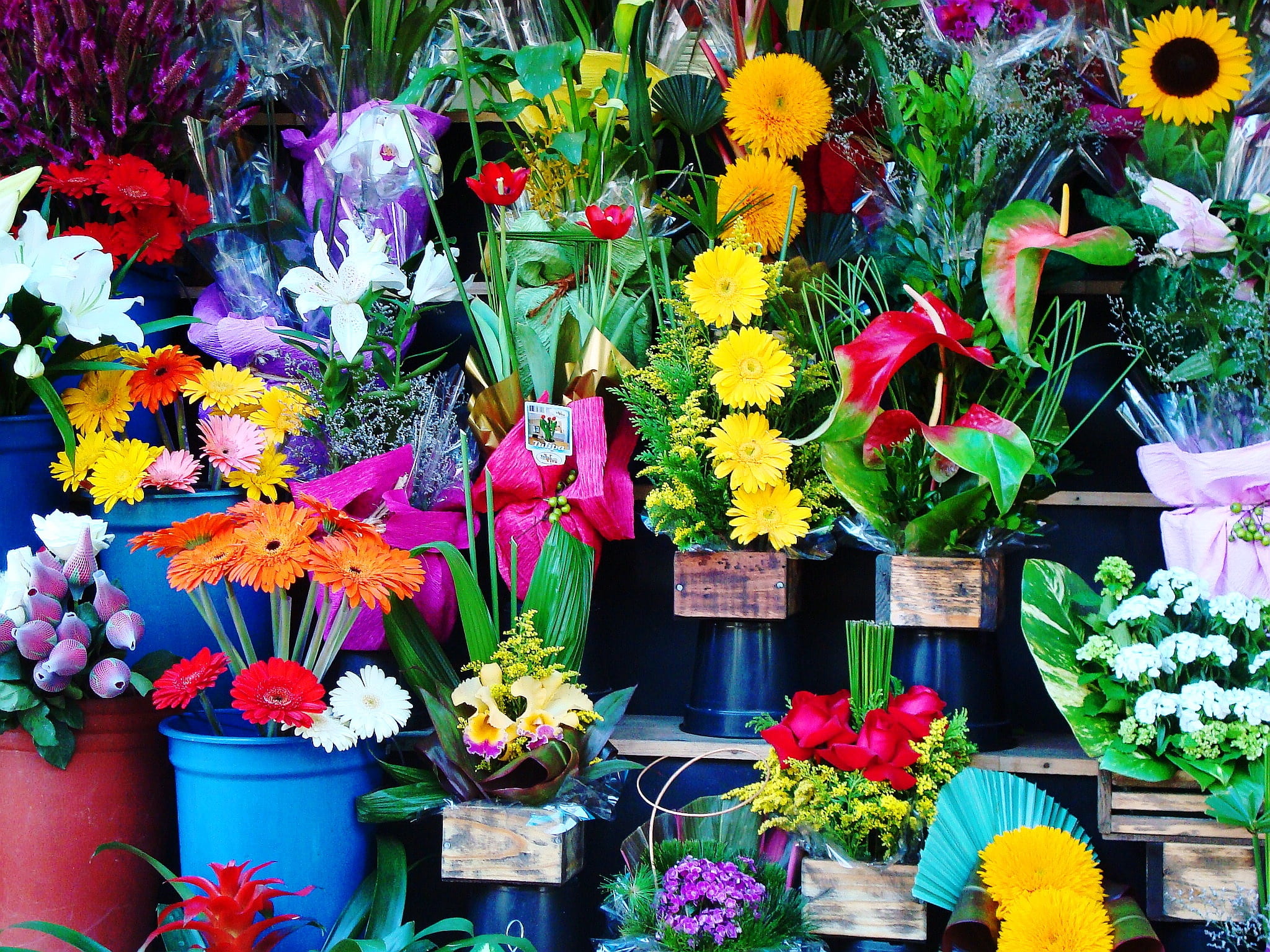 flowers, bouquet, garden, flower arrangement, multi Colored, for sale, flower Pot, 1080P, flower shop, retail display, flowering plant, sale, beauty in nature, HD Wallpaper