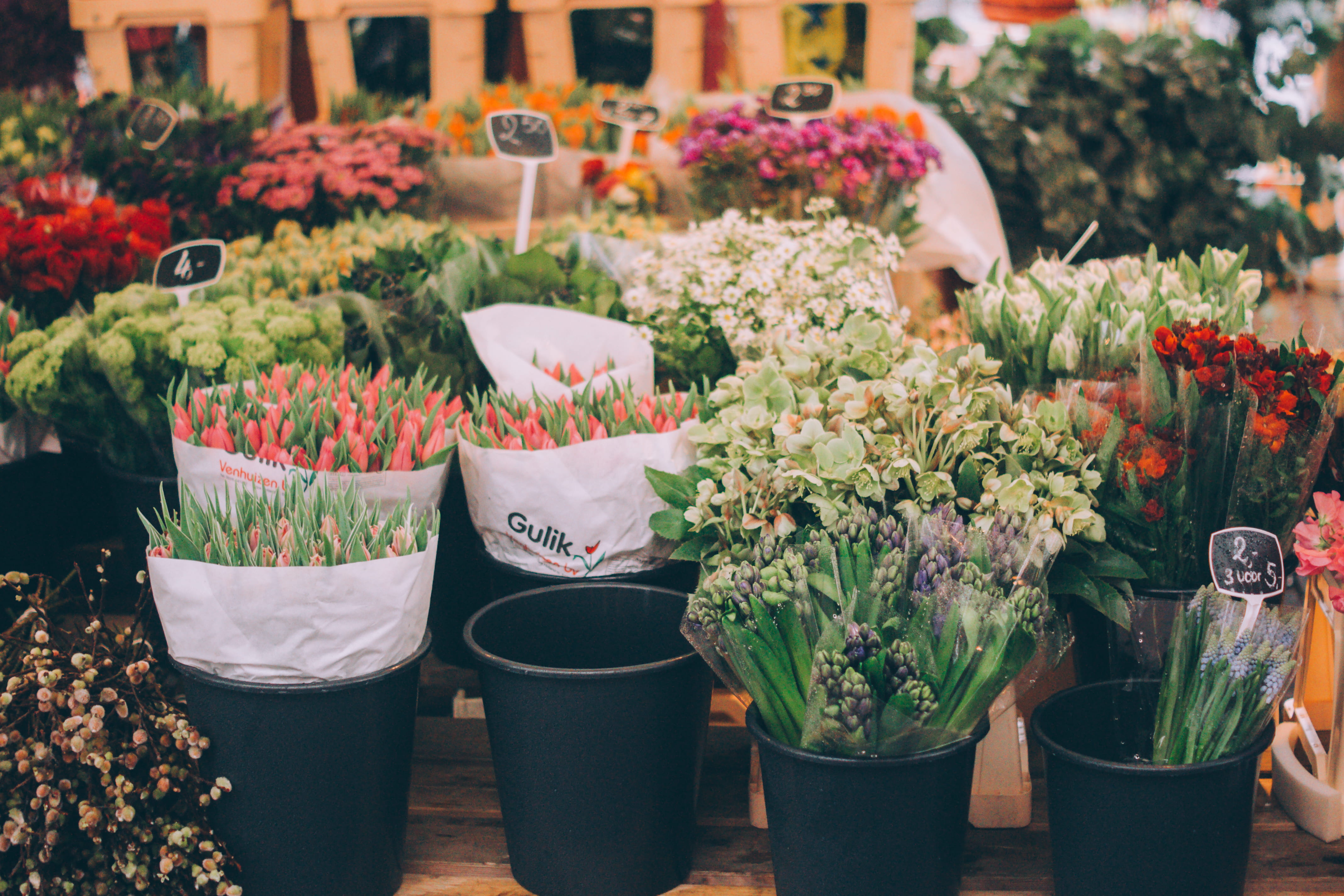 sale, outdoors, tulip, flower, wooden, florist, bouquet, variation, pot, lot, retail, plant, flower pot, plant nursery, flower head, potted plant, colorful, HD Wallpaper