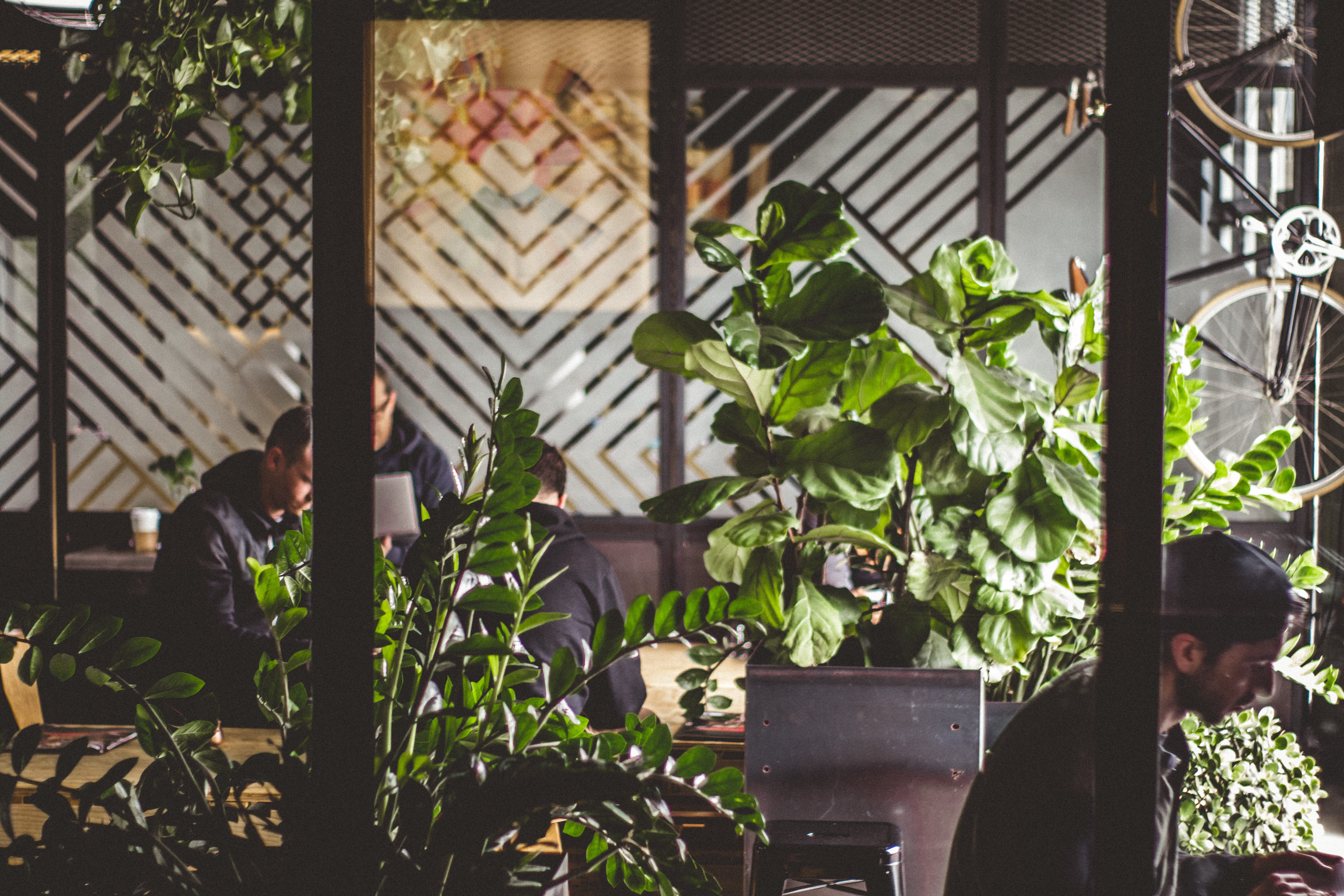 males, leafed, real people, nature, shop, potted, potted plant, men, beside, garden, architecture, green, adult, plant part, business, built structure, HD Wallpaper