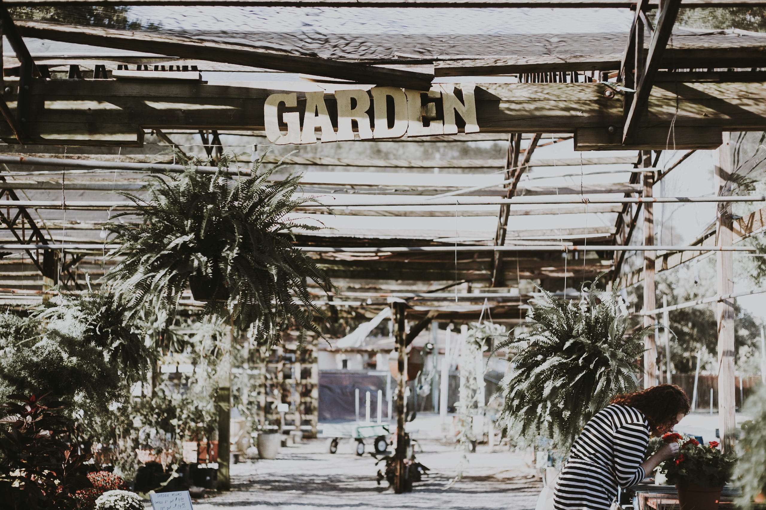 garden, woman, shirt, striped, architecture, greenhouse, mode of transportation, motor vehicle, incidental people, wearing, tropical climate, women, shop, HD Wallpaper
