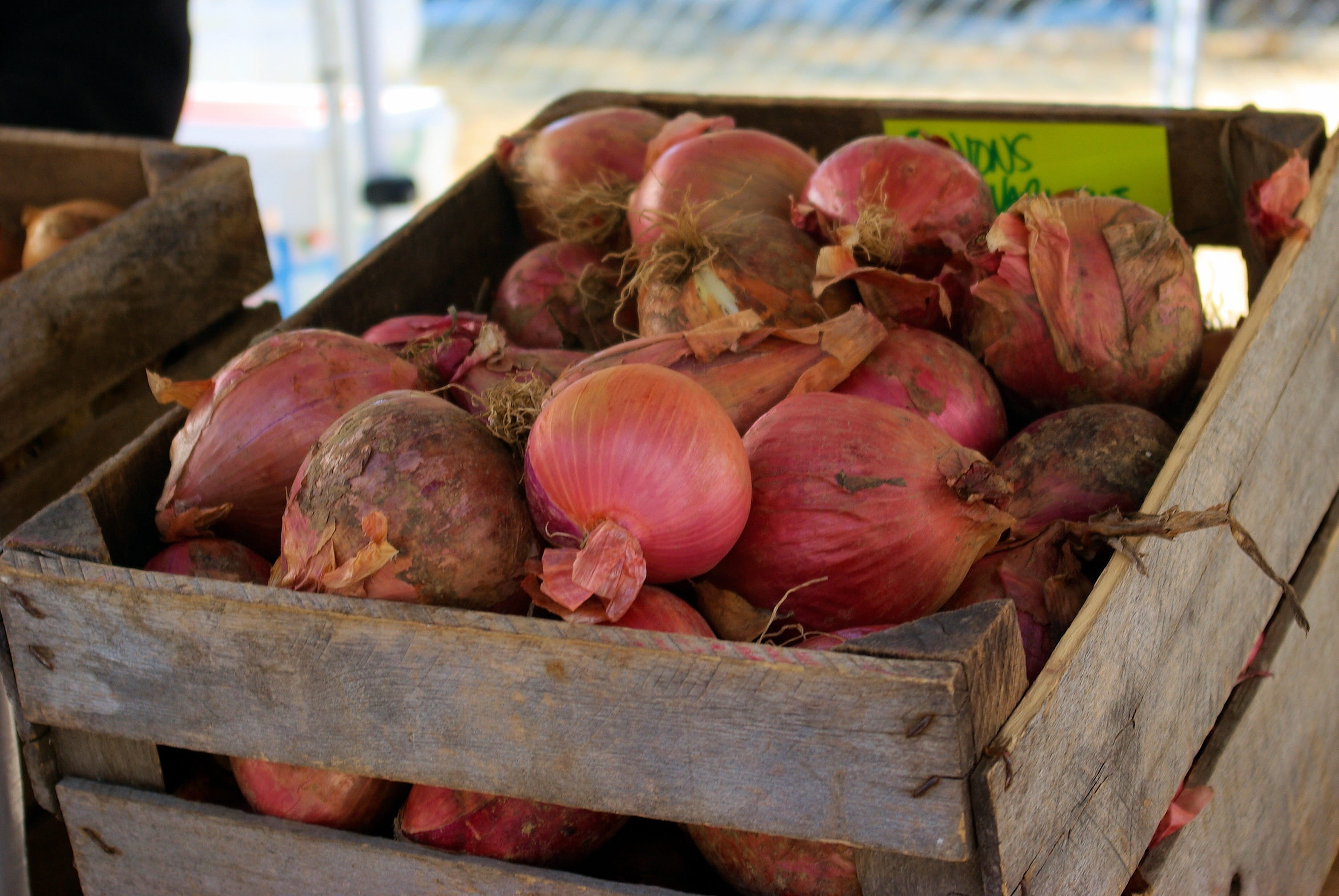 vegetable, ripe, onion, farmers market purple onions, crisp, garden, focus on foreground, wellbeing, wisconsin, food and drink, box, shop, organic, large group of objects, HD Wallpaper