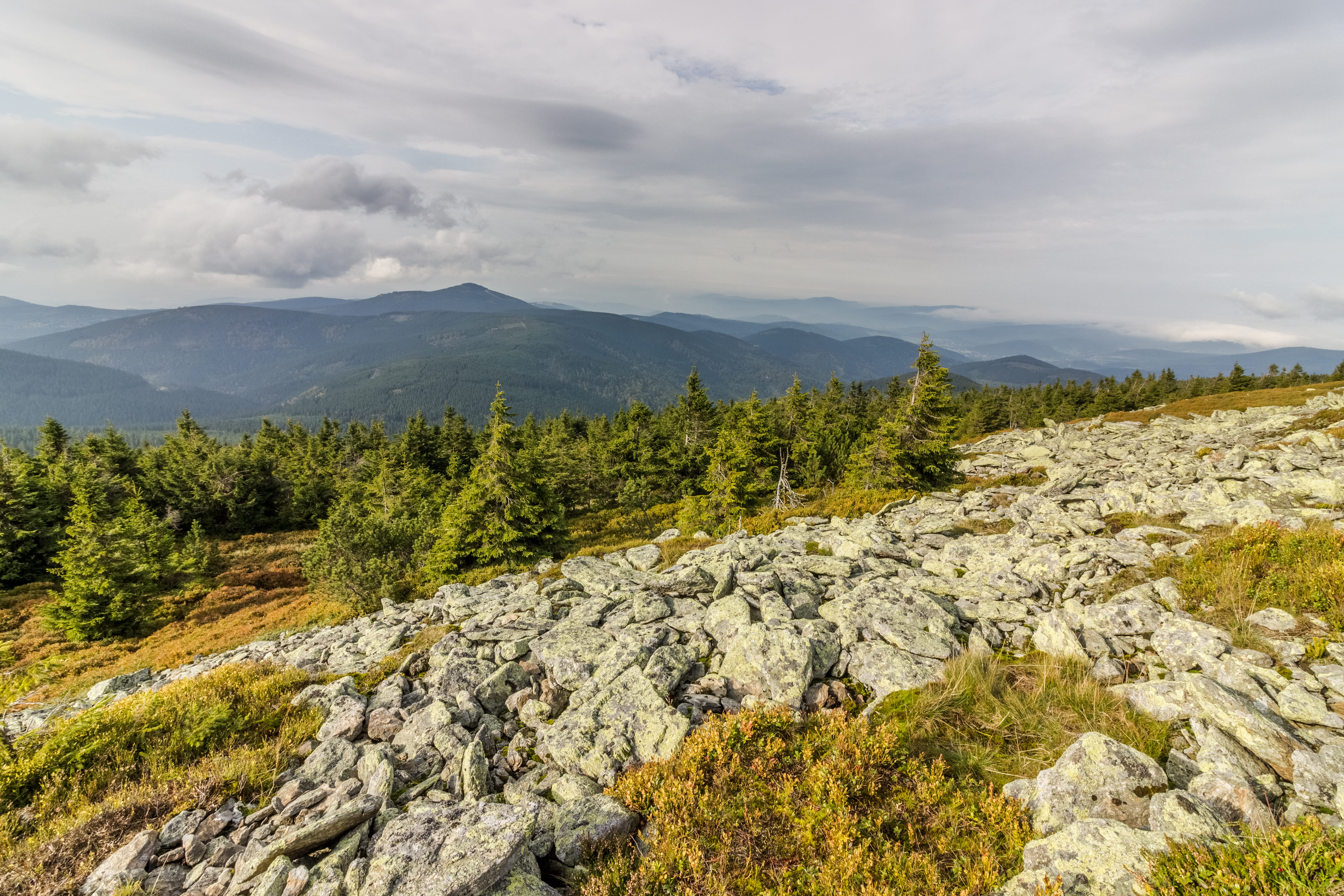 greem, landscape, environment, rock, scenics - nature, mountain range, plant, mountain peak, solid, sky, tree, nature, idyllic, outdoors, beauty in nature, HD Wallpaper