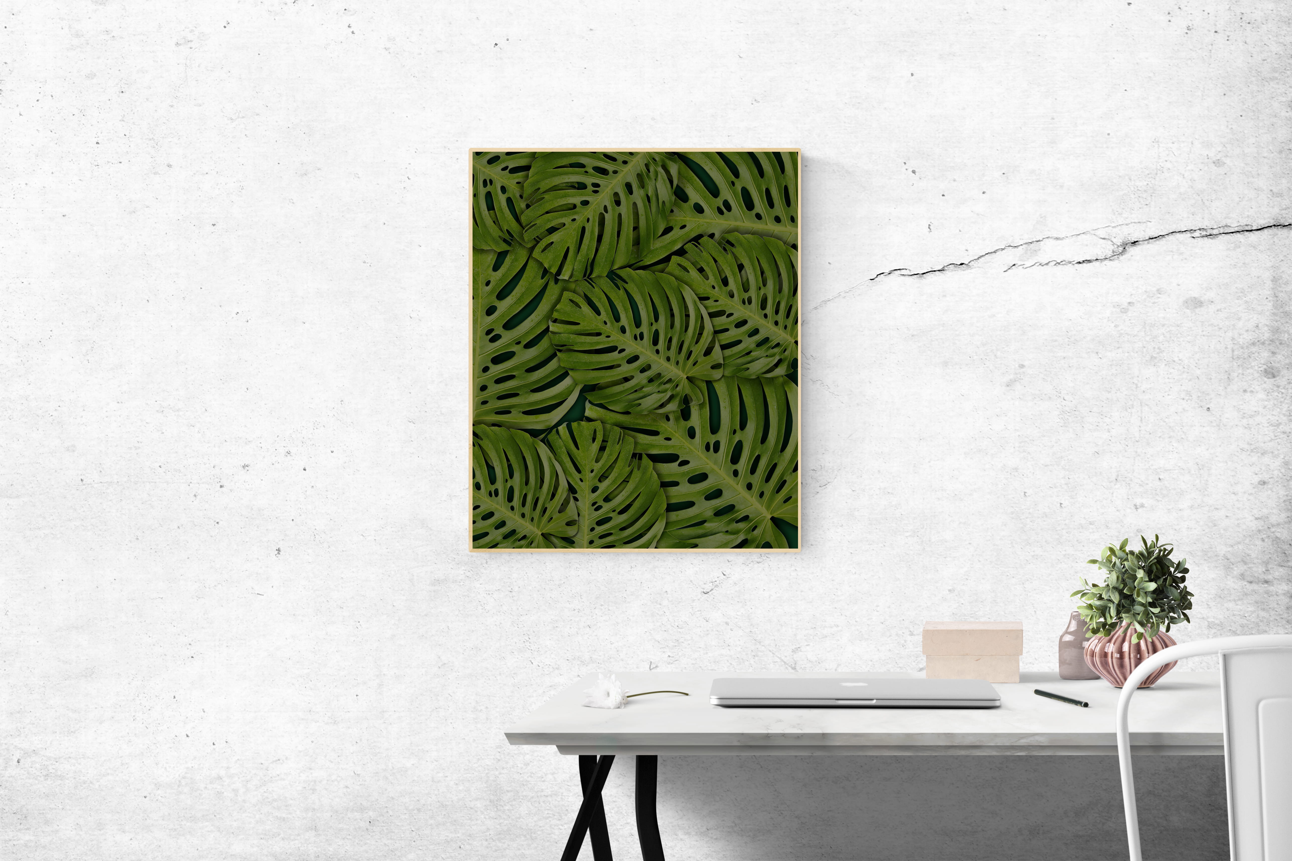 cheese, wall - building feature, inside, leafed, furniture, architecture, photo, wood, green, copy space, interior design, houseplant, wall, absence, seat, HD Wallpaper