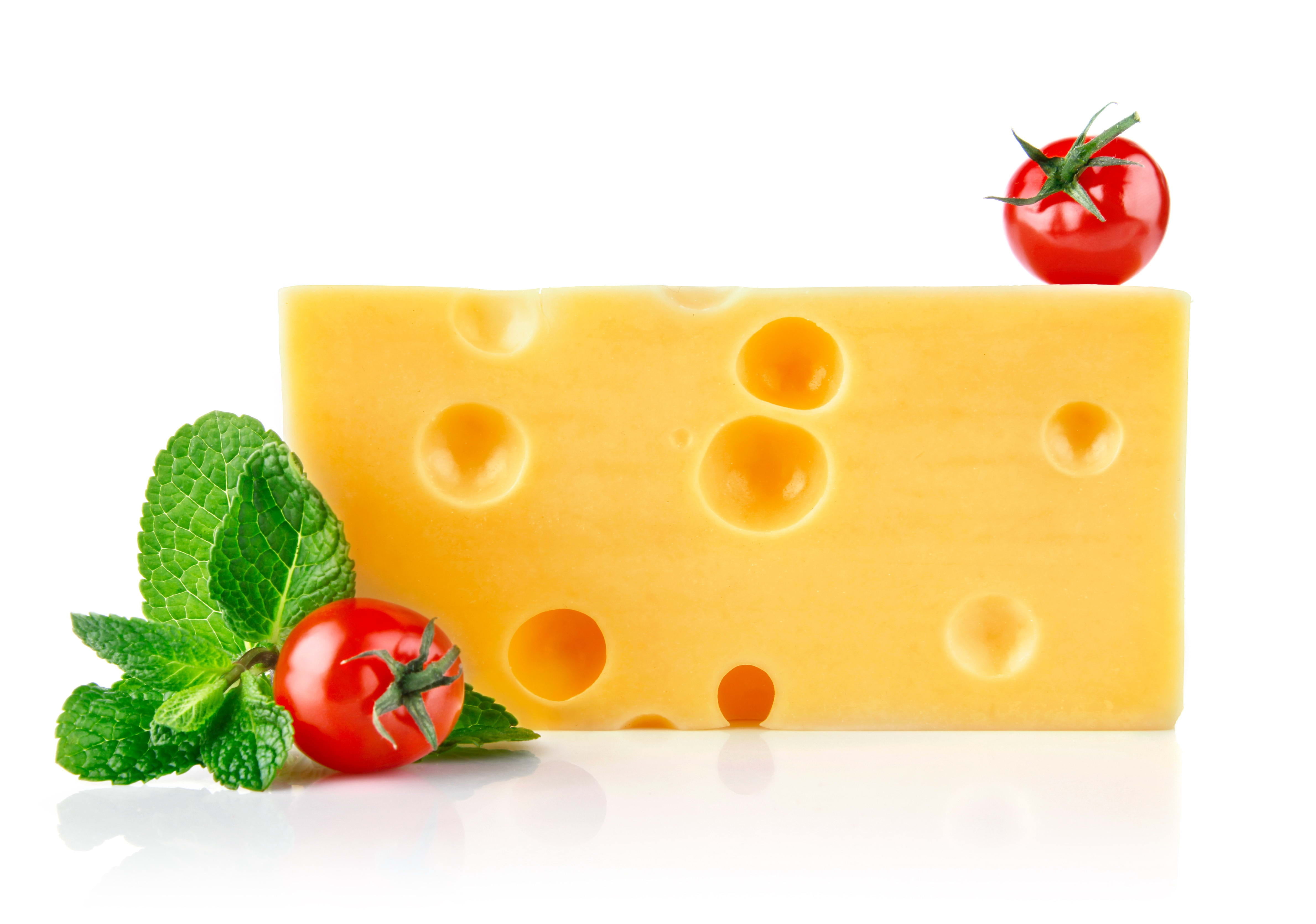 studio Shot, close-up, vegetarian Food, tomatoes, basil, leaf, ingredient, tomato, isolated, healthy Eating, food, indoors, wellbeing, white Background, HD Wallpaper