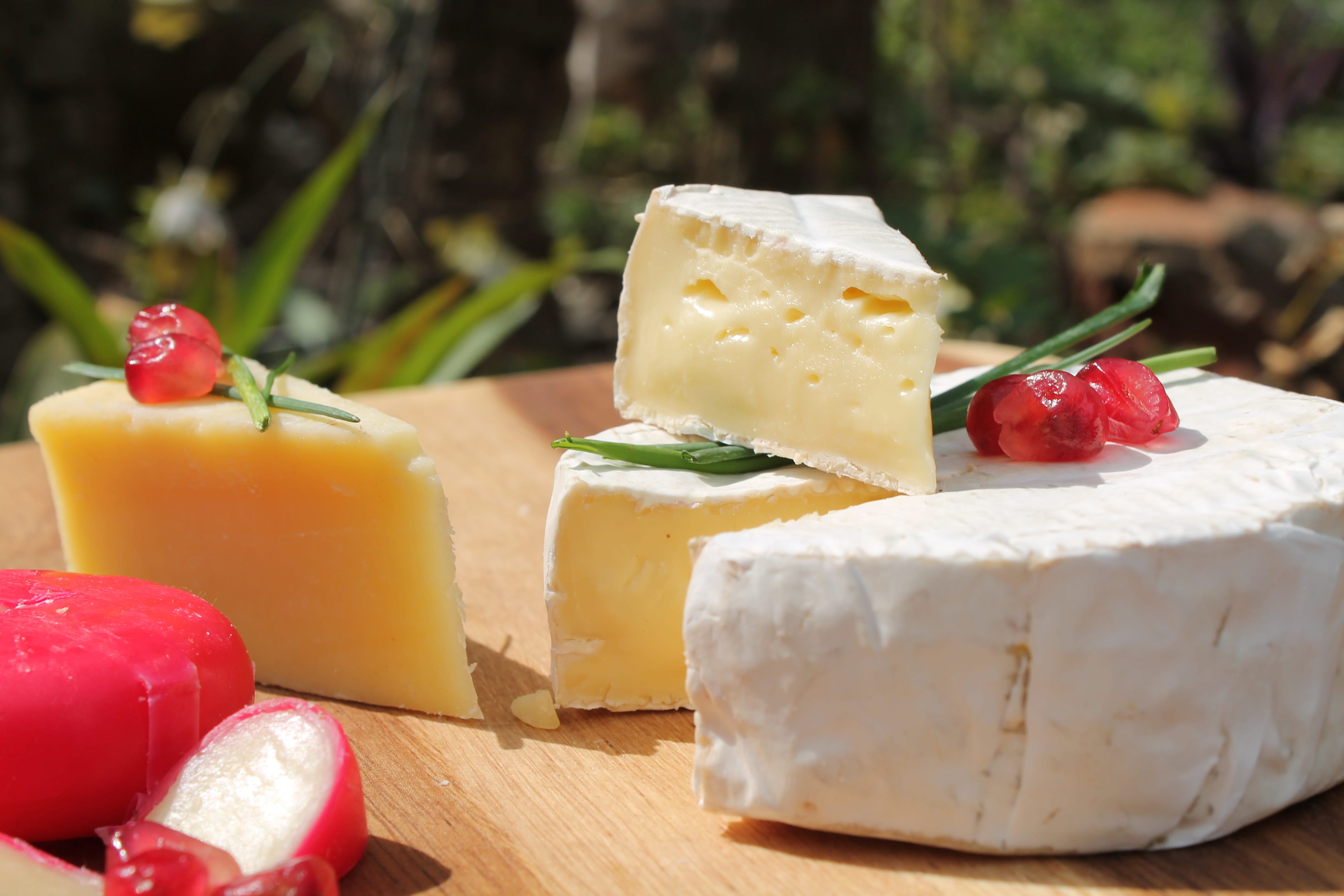 garnish, slice, tray, mature cheddar, 4K, gouda, freshness, no people, temptation, focus on foreground, cheese, photo, close, country, still life, table, HD Wallpaper
