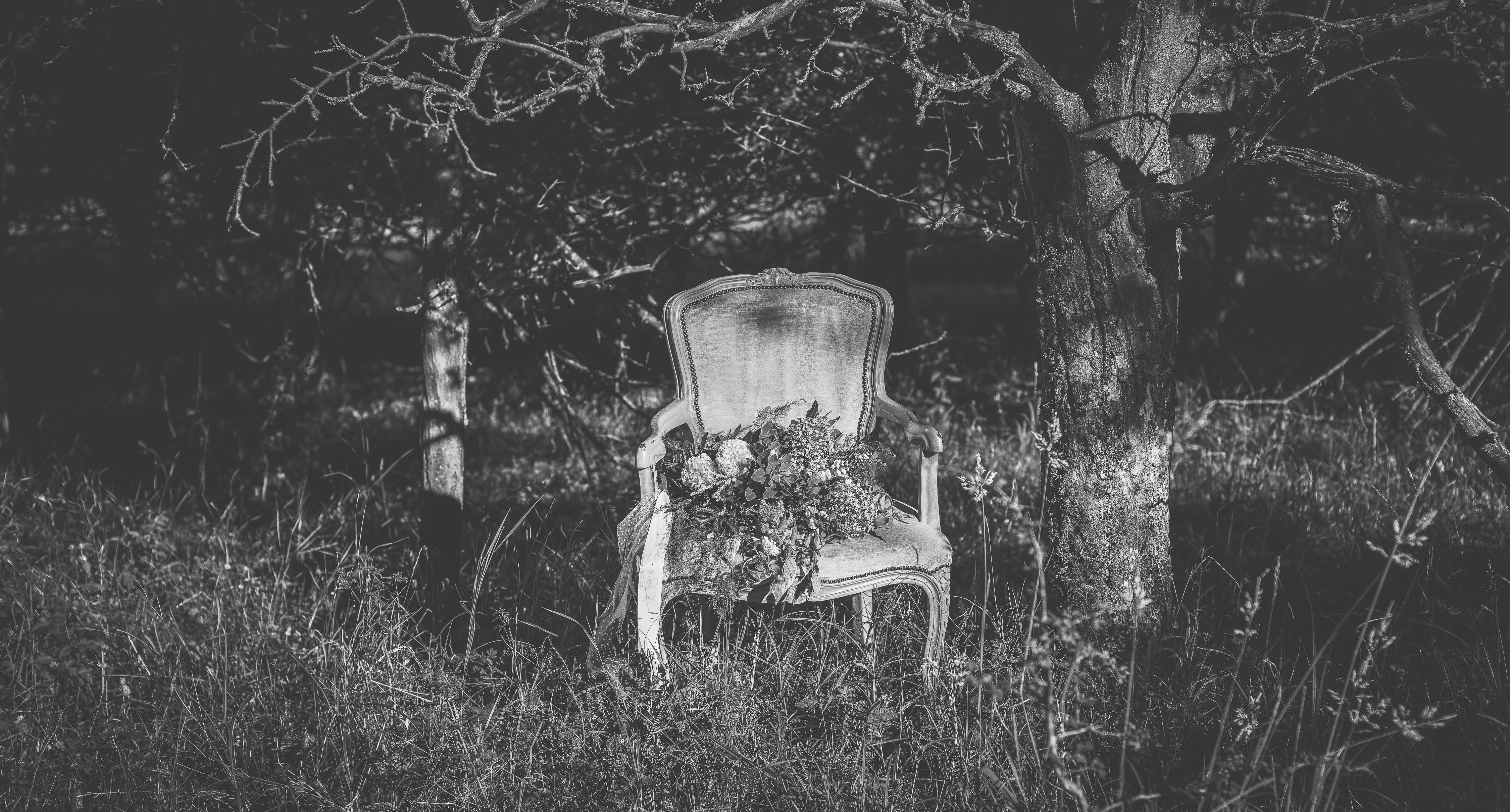 grass, seat, day, container, wedding, land, weddinginspiratiom, outdoors, nature, weddingdetails, tree, abandoned, old, plant, forest, details, growth, HD Wallpaper