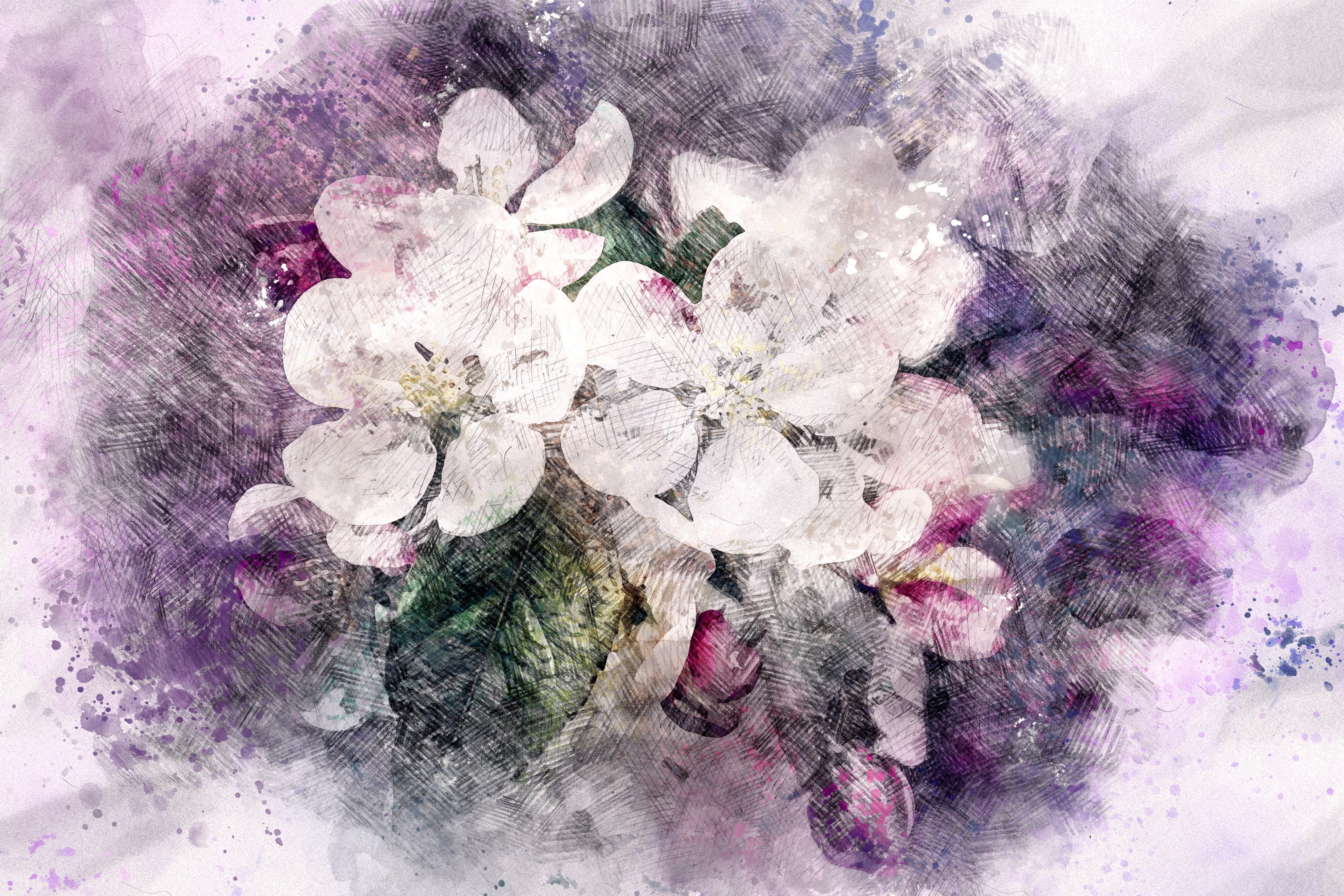 digital composite, flowering plant, berries, bouquet, season, outdoors, 4K, no people, fragility, floral, day, red, digital manipulation, art and craft, HD Wallpaper