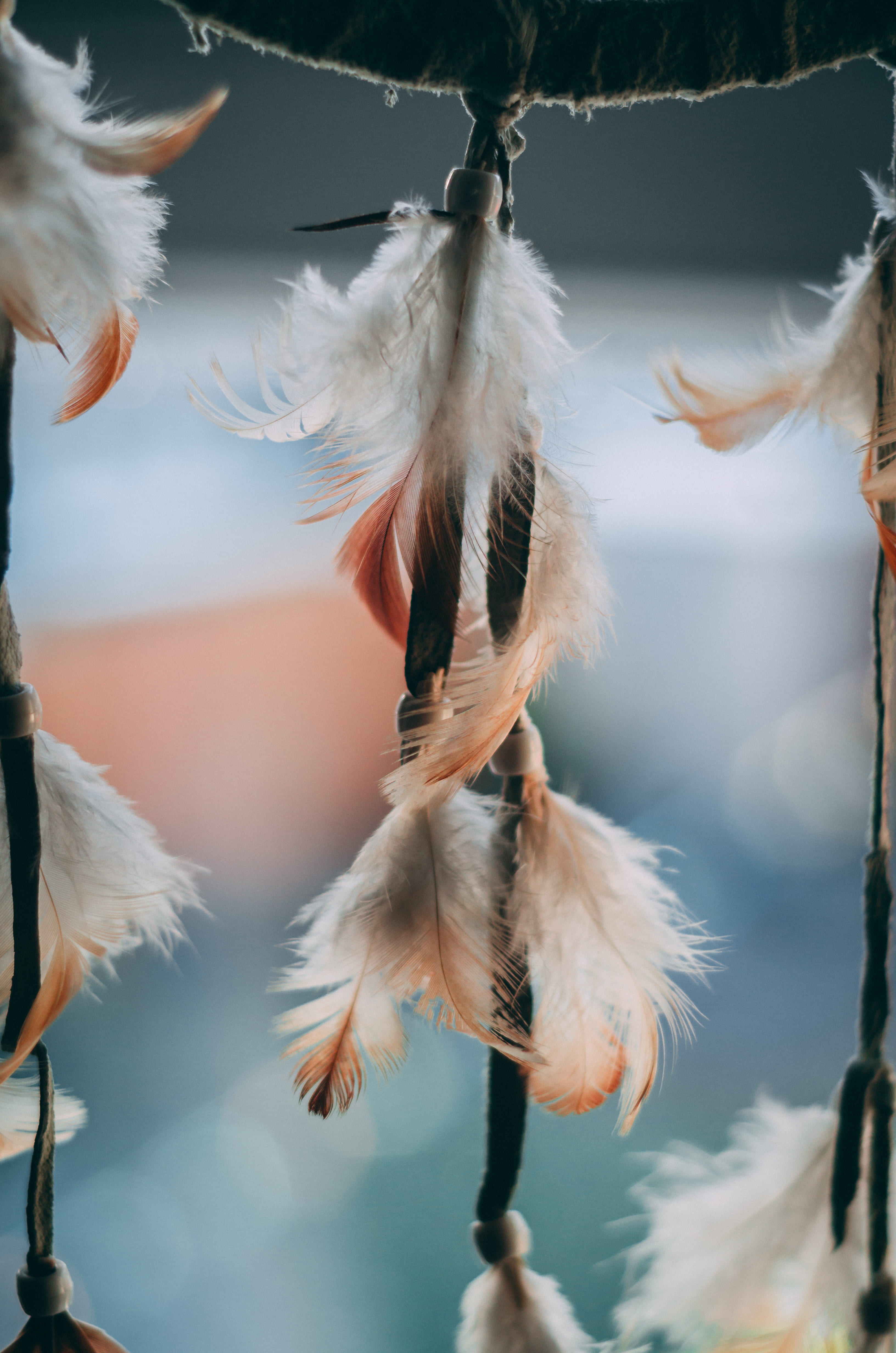 tribal, shallow, no people, plant, animal wildlife, feathers, branch, bead, day, dreamcatcher, animal, vertebrate, softness, brown, selective focus, animals in the wild, Phone HD Wallpaper