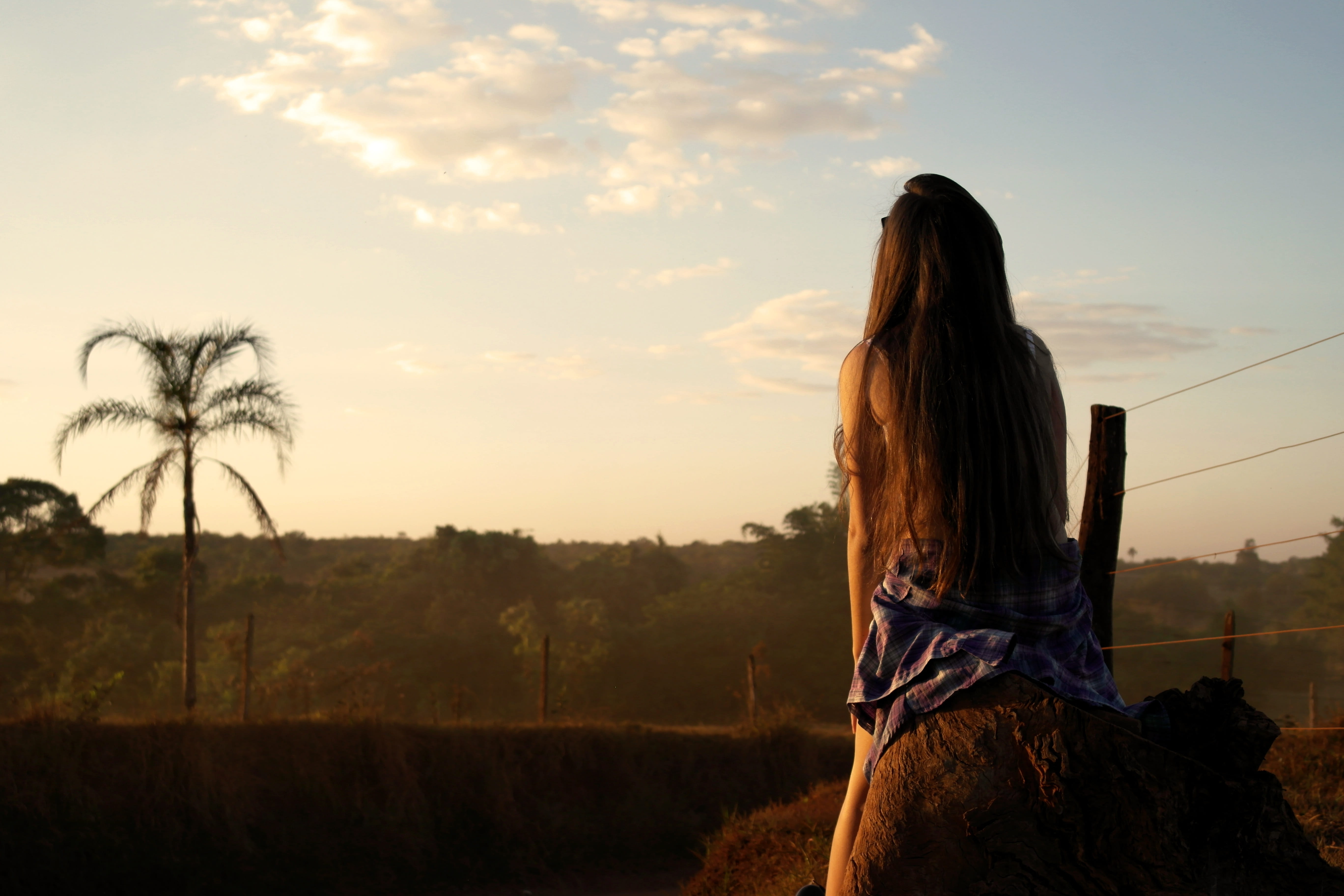 vintage, sky, outdoors, females, by sunsets, standing, womens fashion, sunset, light, looking at view, coconut tree, animal, people, tree, young Women, HD Wallpaper