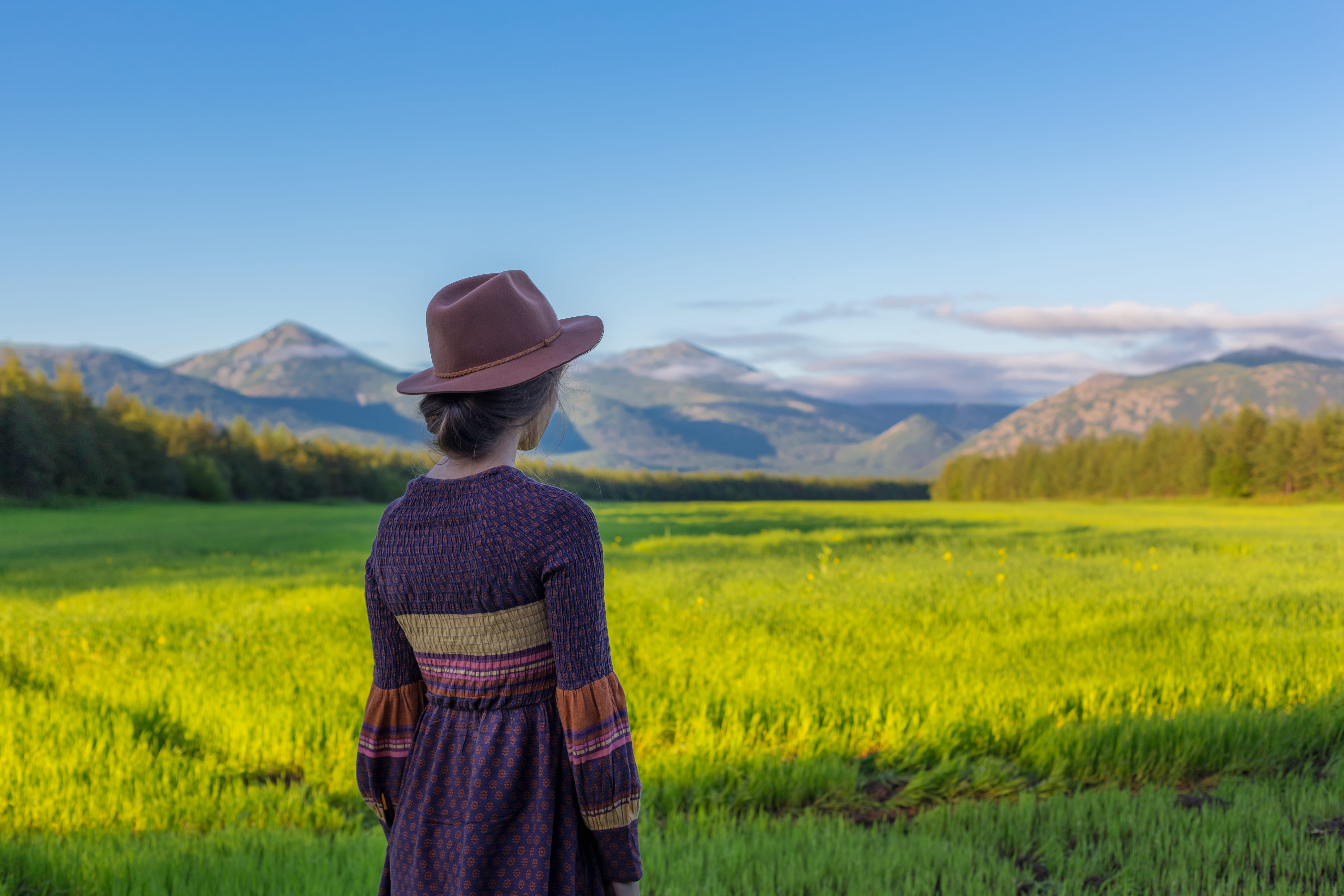 green color, landscape, female, adult, 5K, land, one person, agriculture, blue, bun, dress, hat, field, near, back, girl, rear view, rice, farmer, beauty in nature, HD Wallpaper
