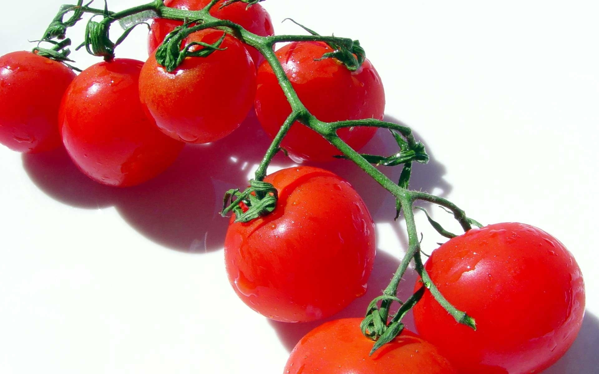 backgrounds, water, dieting, red, nature, freshness, close-up, tomato, group of Objects, agriculture, healthy Eating, raw Food, vegetarian Food, stem, organic, HD Wallpaper