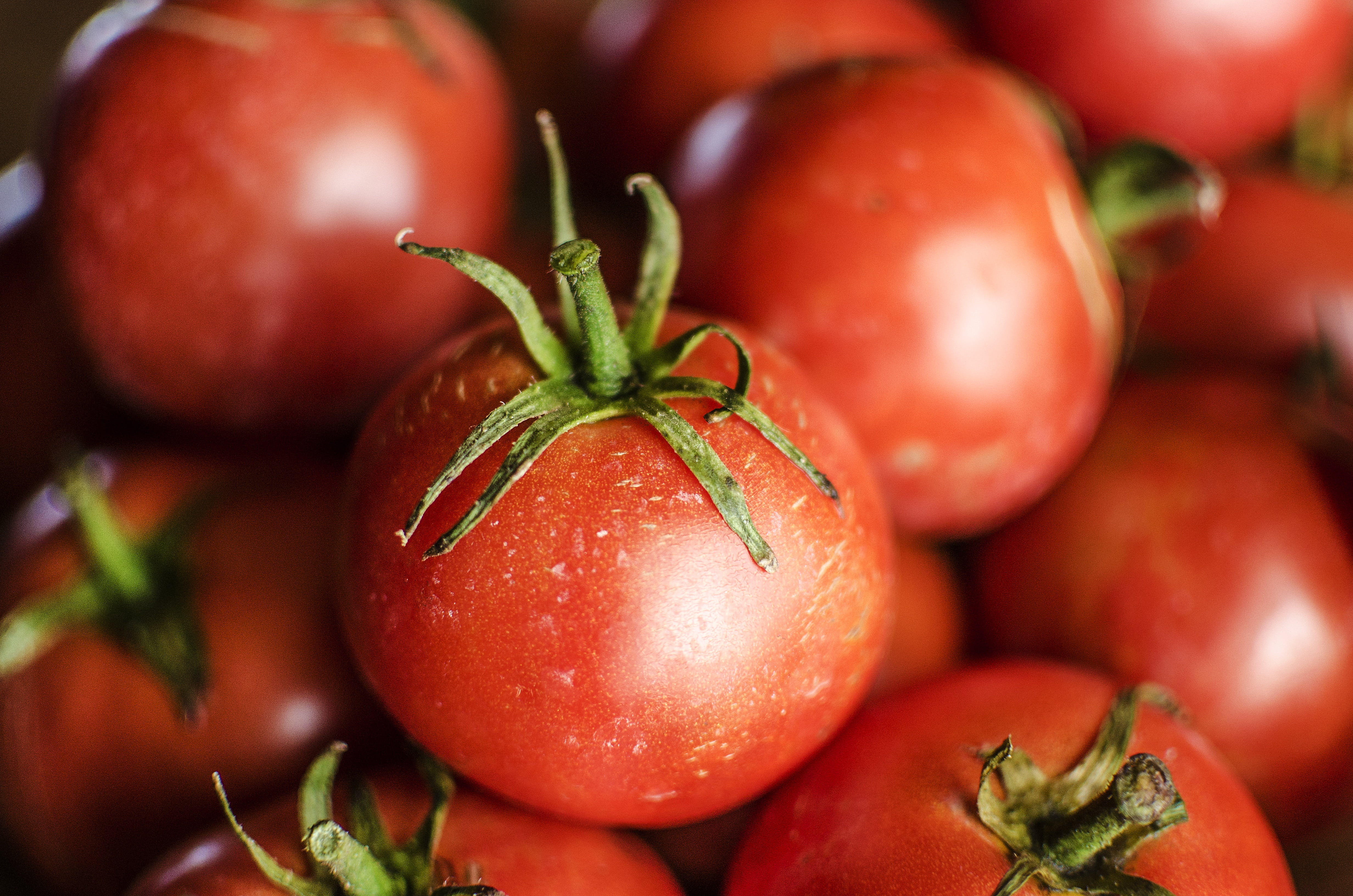 nature, wellbeing, tomatoes, healthy lifestyle, freshness, cook, ripe, vine, juicy, fresh, delicious, organic, no people, green, food, garden, eat, diet, HD Wallpaper