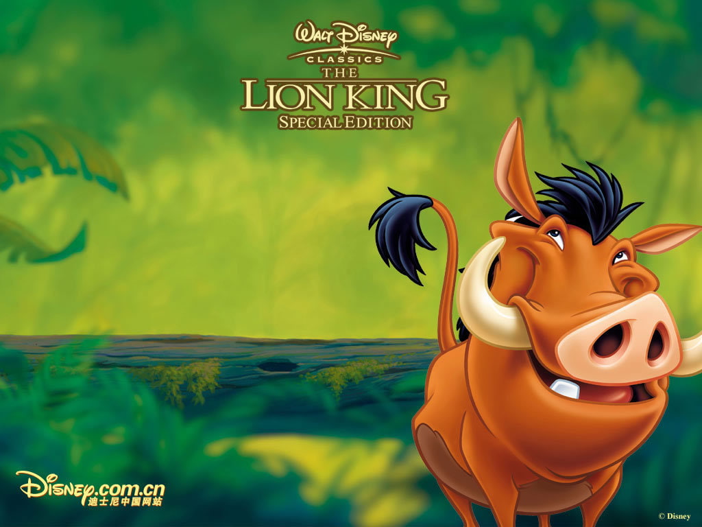 team, adventure, lion, pig, 480P, movies, king, lion king, HD Wallpaper