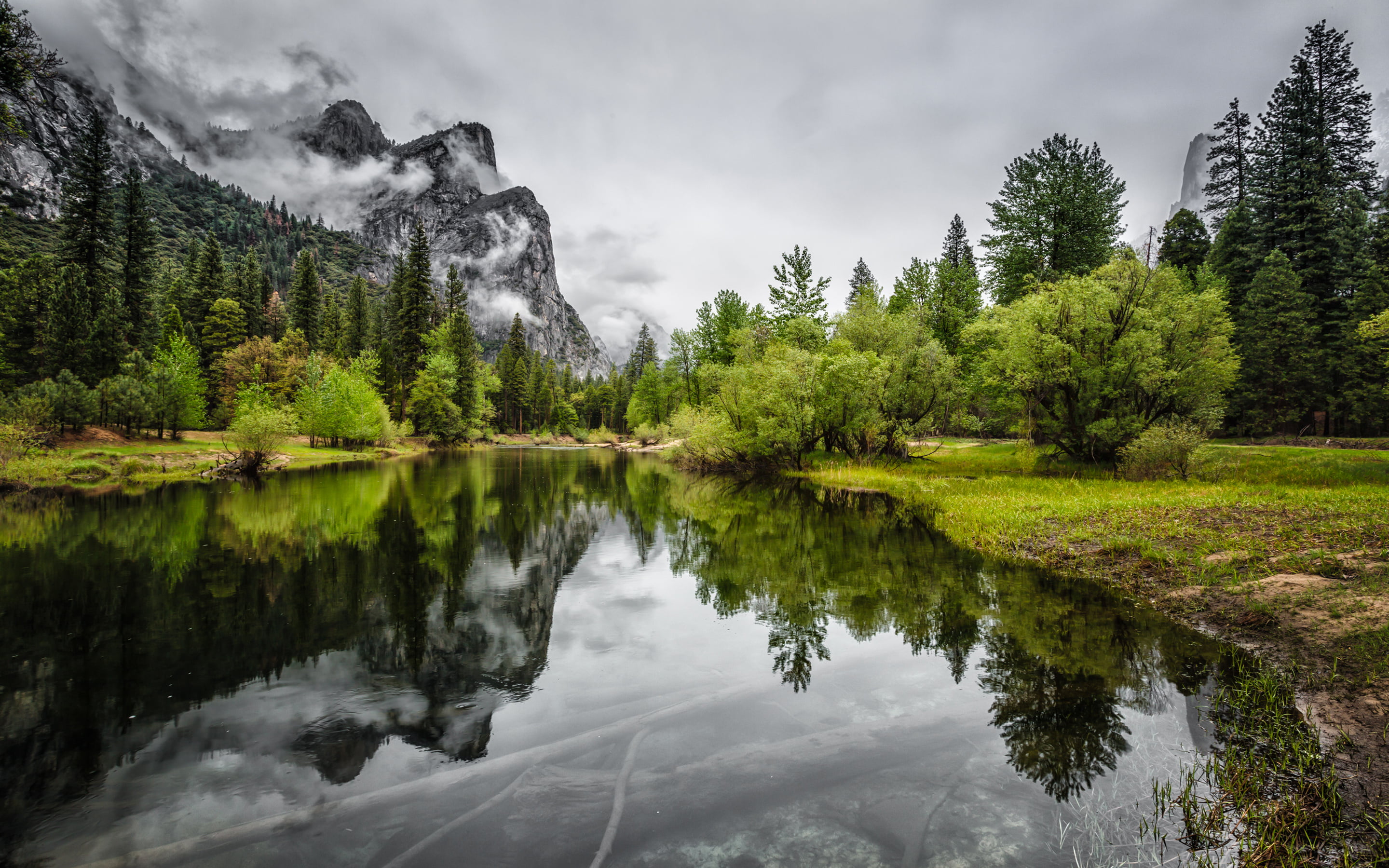 plant, three, outdoors, tranquil scene, growth, tree, 2K, no people, national, non-urban scene, nature, lake, park, water, coniferous tree, beauty in nature, HD Wallpaper