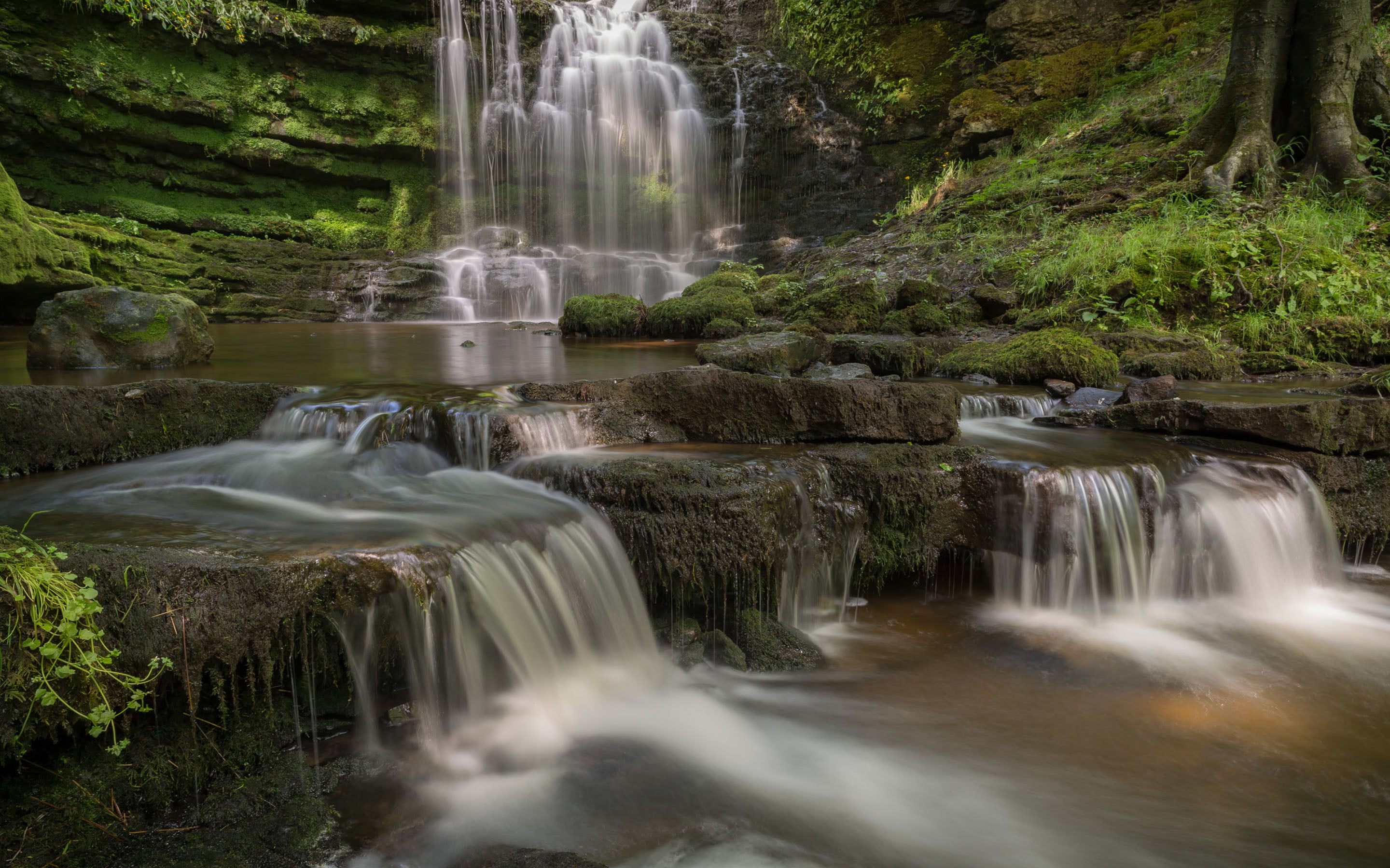 plant, land, yorkshire, waterfall, outdoors, england, long exposure, no people, 2K, park, beauty in nature, scaleber, scenics - nature, rainforest, solid, HD Wallpaper