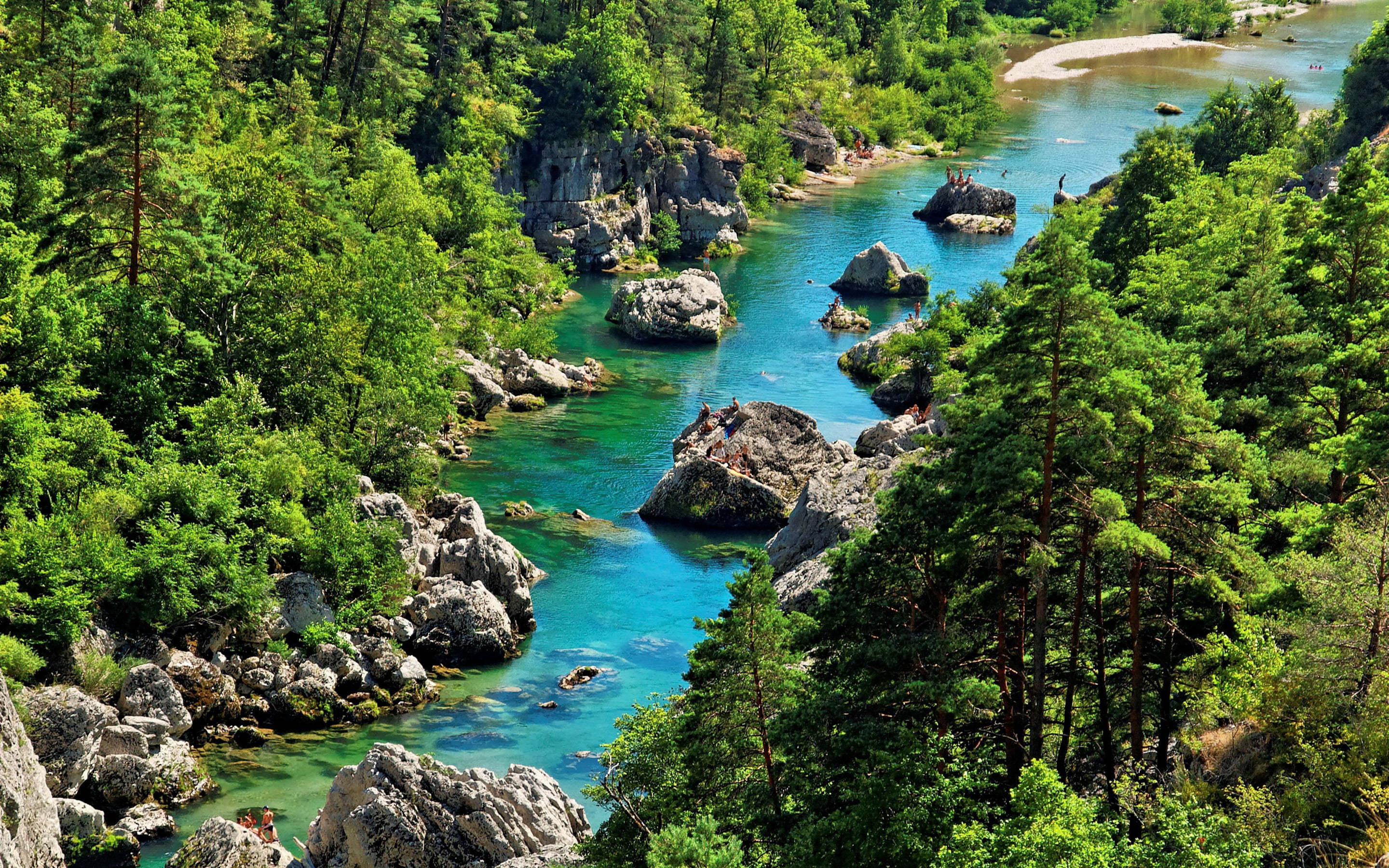 rock, outdoors, land, water, solid, languedoc, growth, national, forest, idyllic, pine, roussillon, gorges, 2K, park, river, plant, tranquility, france, HD Wallpaper