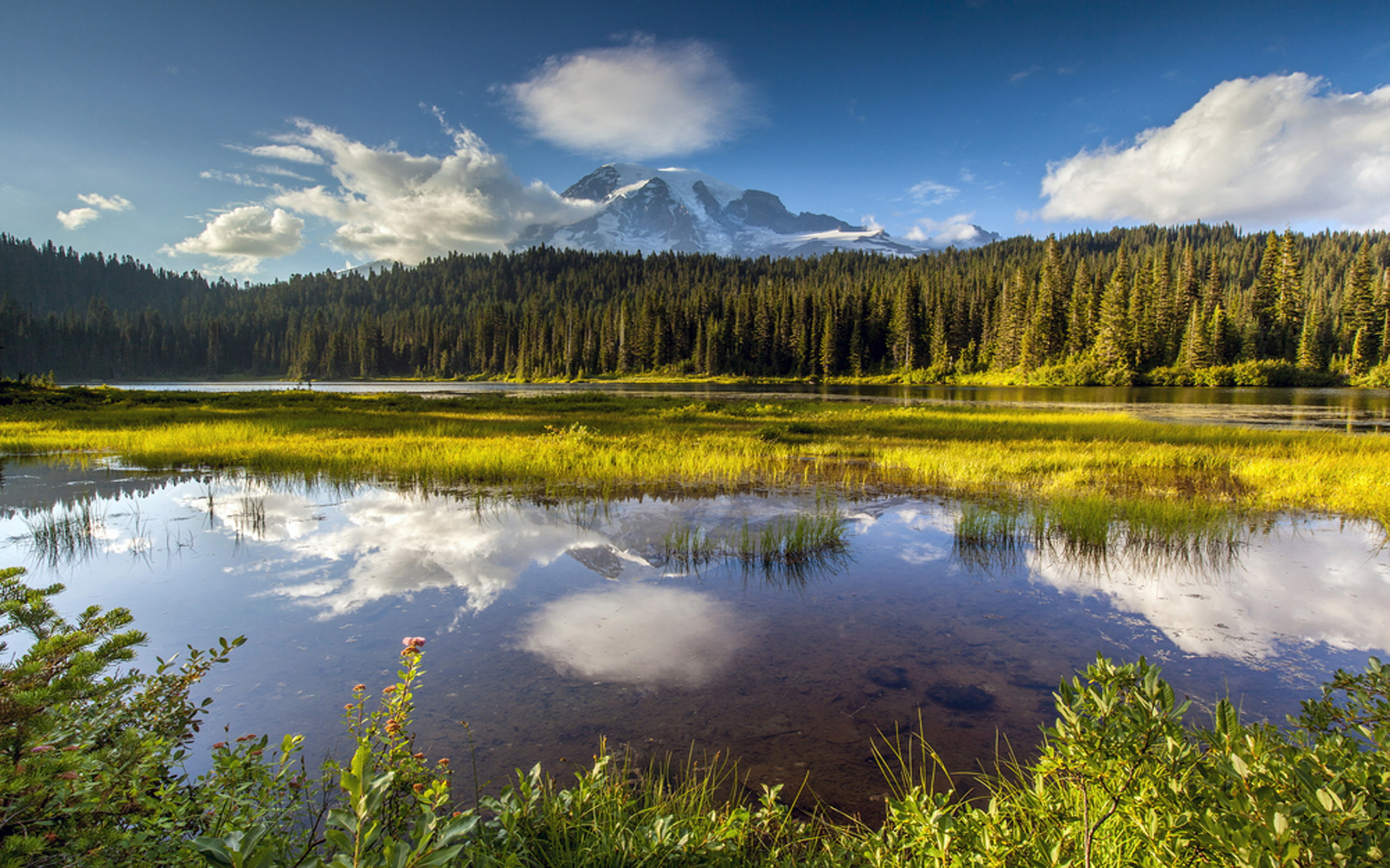 located, state, mount, covers, 2K, park, pierce, square, national, area, county, us, washington, kilometers, lewis, rainier, HD Wallpaper