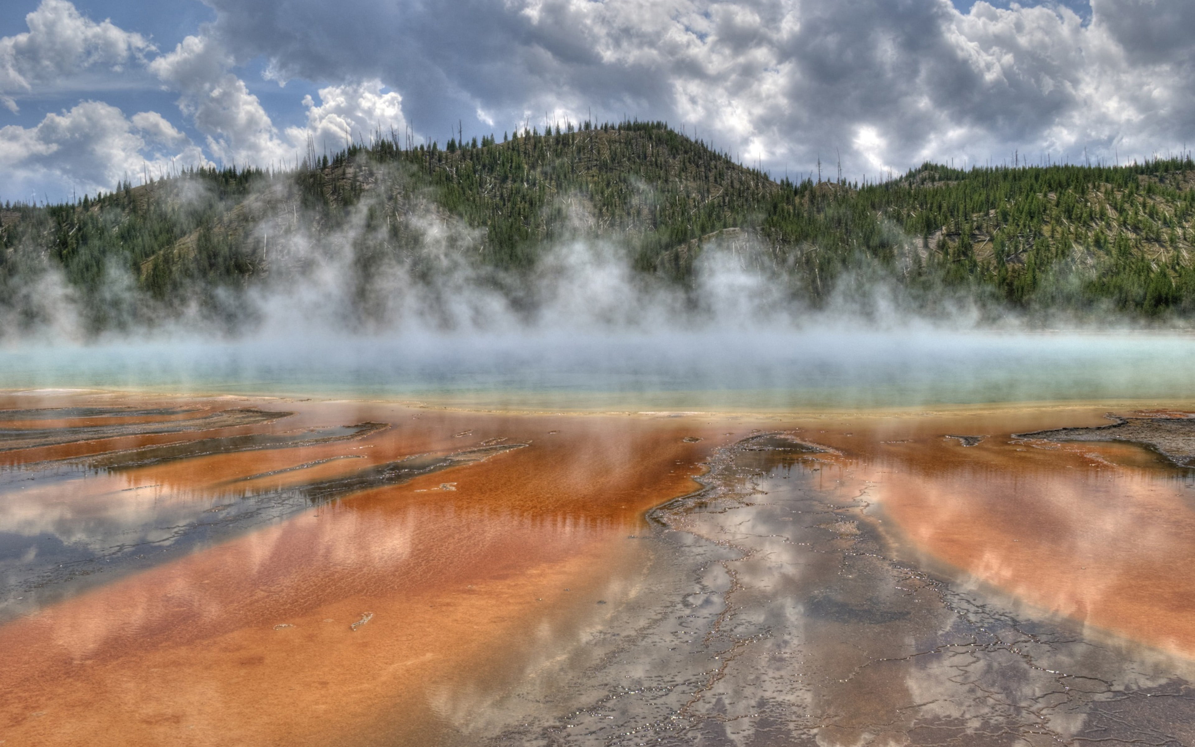 wyoming, steam, geyser, third, yellowstone, geology, park, no people, water, plant, hot spring, power in nature, hd, heat - temperature, day, HD Wallpaper