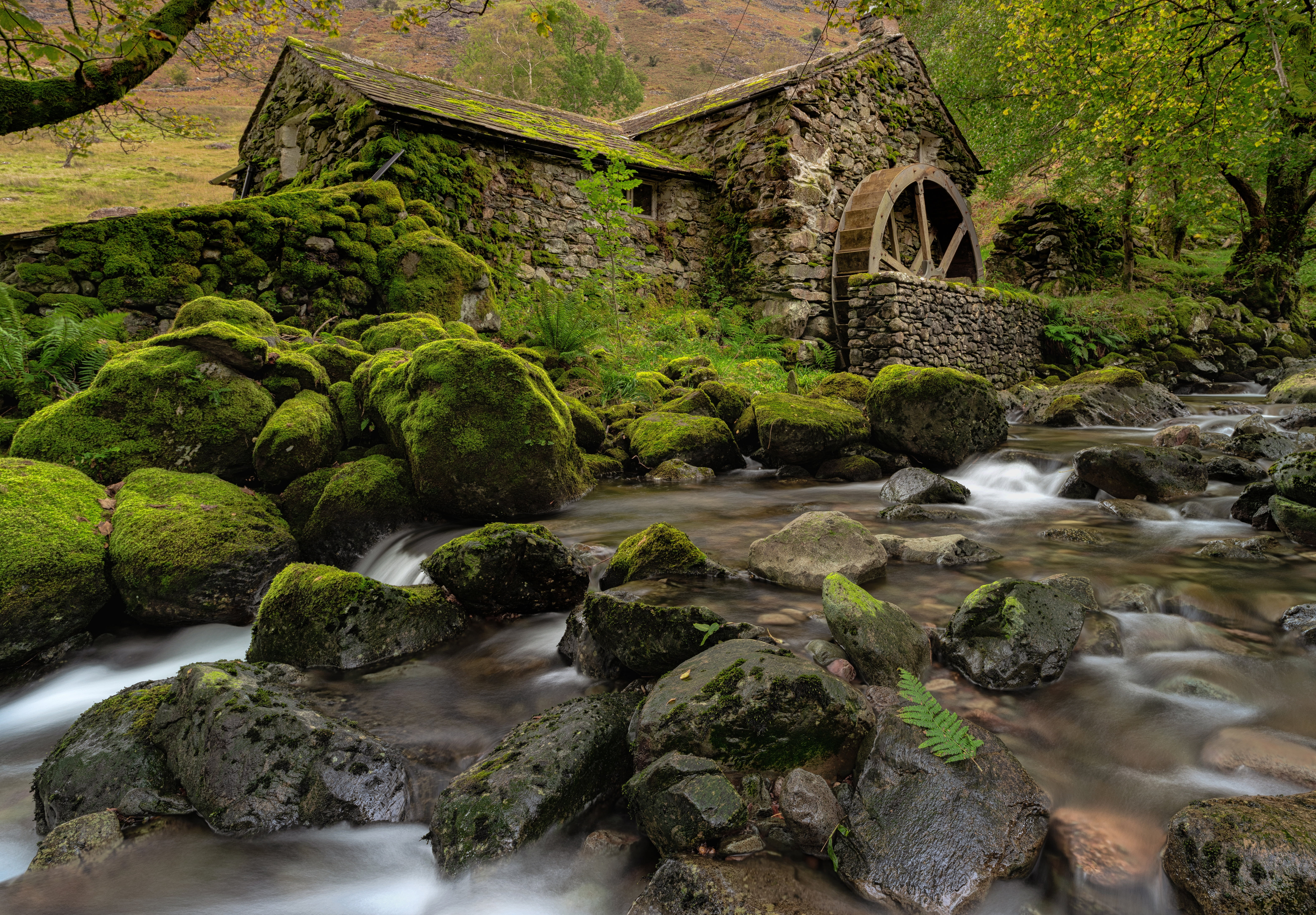Borrowdale Valley, 5K, mill, river, moss, stones, Cumbria, England, HD Wallpaper