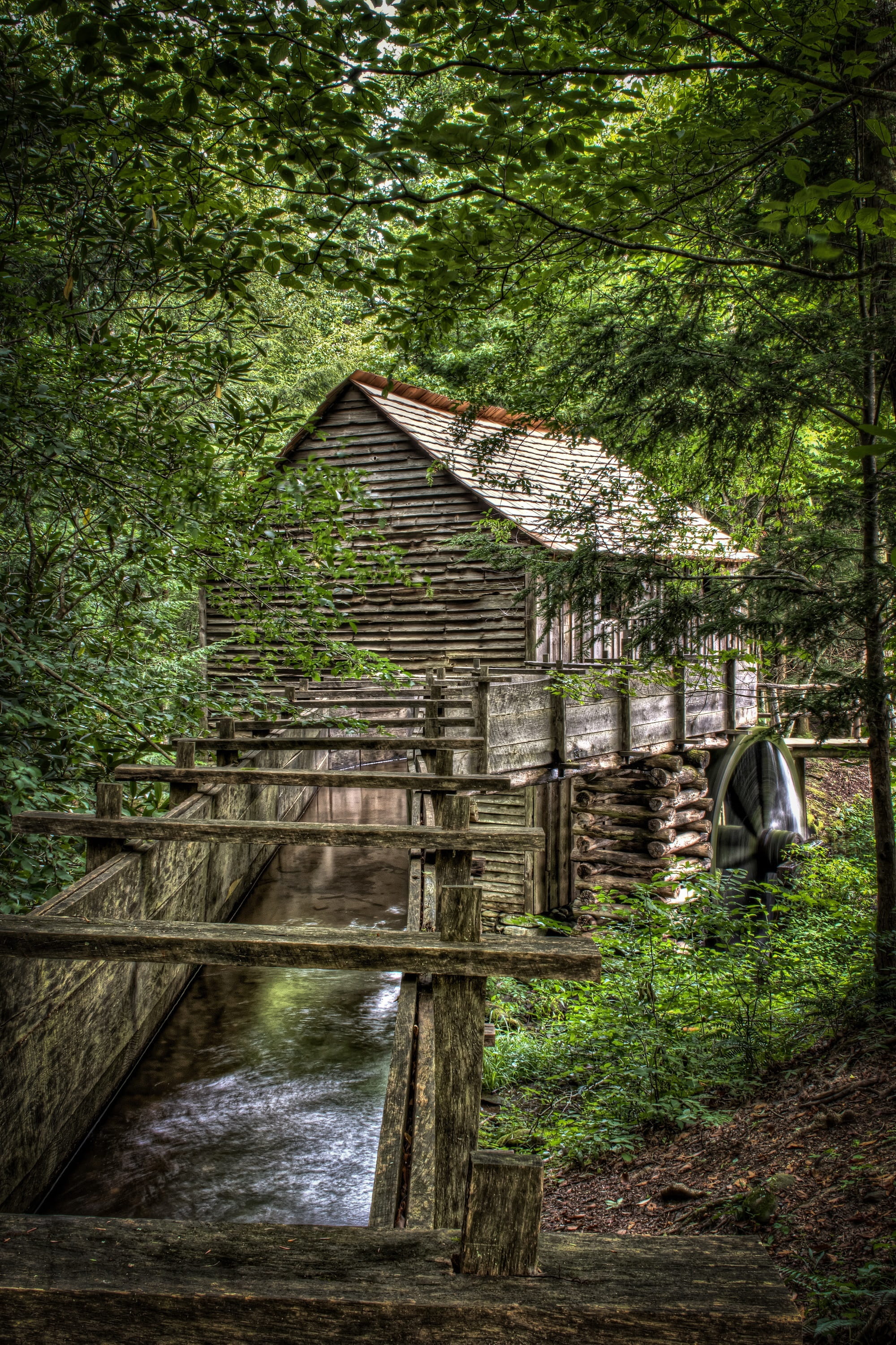 outdoors, growth, land, motion, forest, historic, no people, flowing water, landscape, tennessee, great smoky mountains, building exterior, non-urban scene, Phone HD Wallpaper