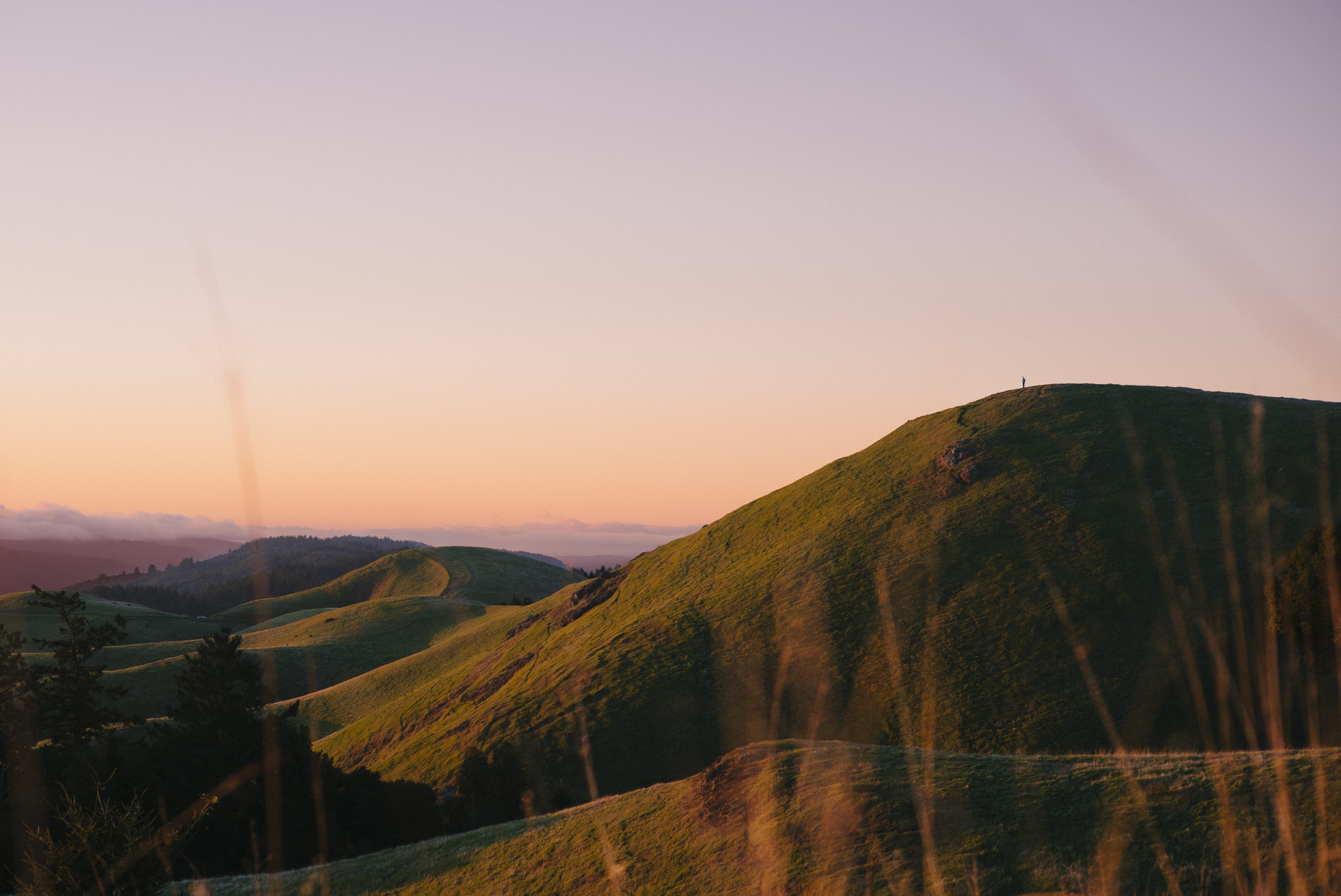 5K, sunlight, field, tranquil scene, outdoor, orange color, green, non-urban scene, remote, no people, gray, outdoors, scenics - nature, mount tamalpais state park, HD Wallpaper