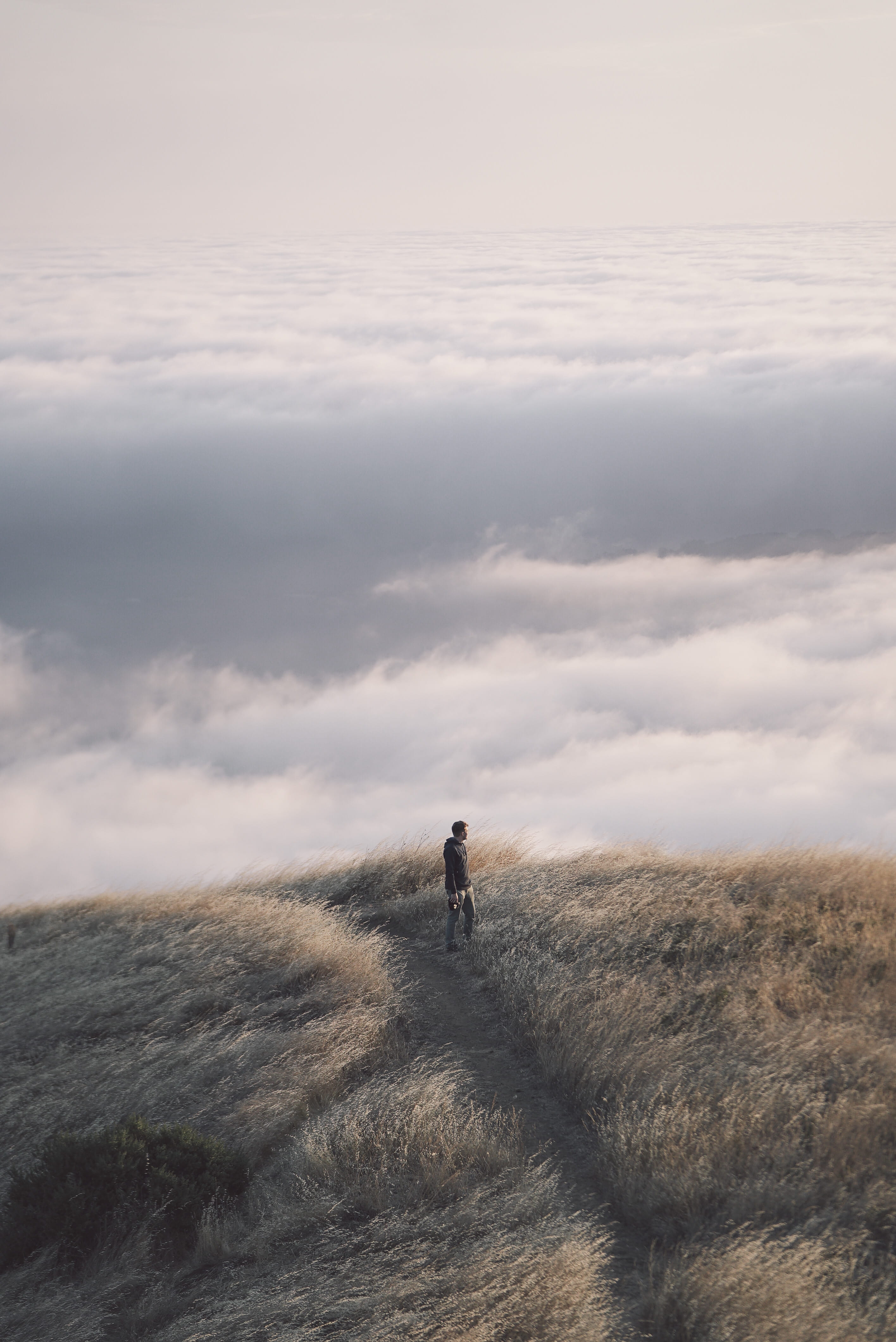 real people, tranquility, california, men, landscape, one person, cloud - sky, land, leisure activity, muir woods, path, mount tamalpais, non-urban scene, Phone HD Wallpaper