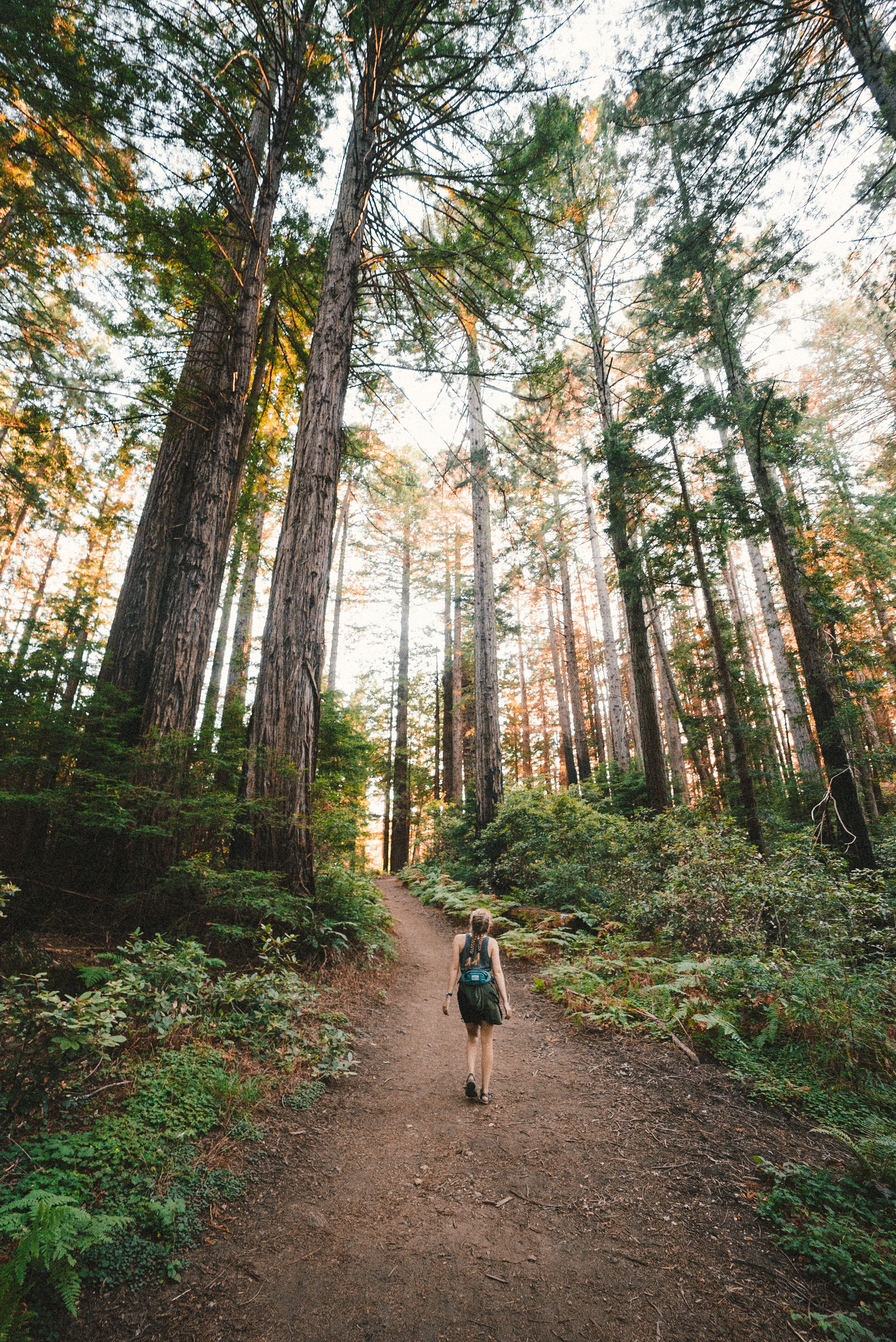 healthy Lifestyle, hike, outdoor, near, hiking, travel, girl, track, day, leaf, adventure, one Person, person, recreational Pursuit, park - Man Made Space, Phone HD Wallpaper