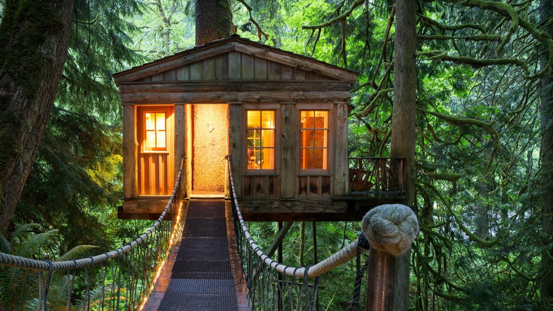 outdoors, plant, tranquil scene, hut, wood, architecture, no people, house, the way forward, tranquility, nature, cottage, old growth forest, woodland, HD Wallpaper