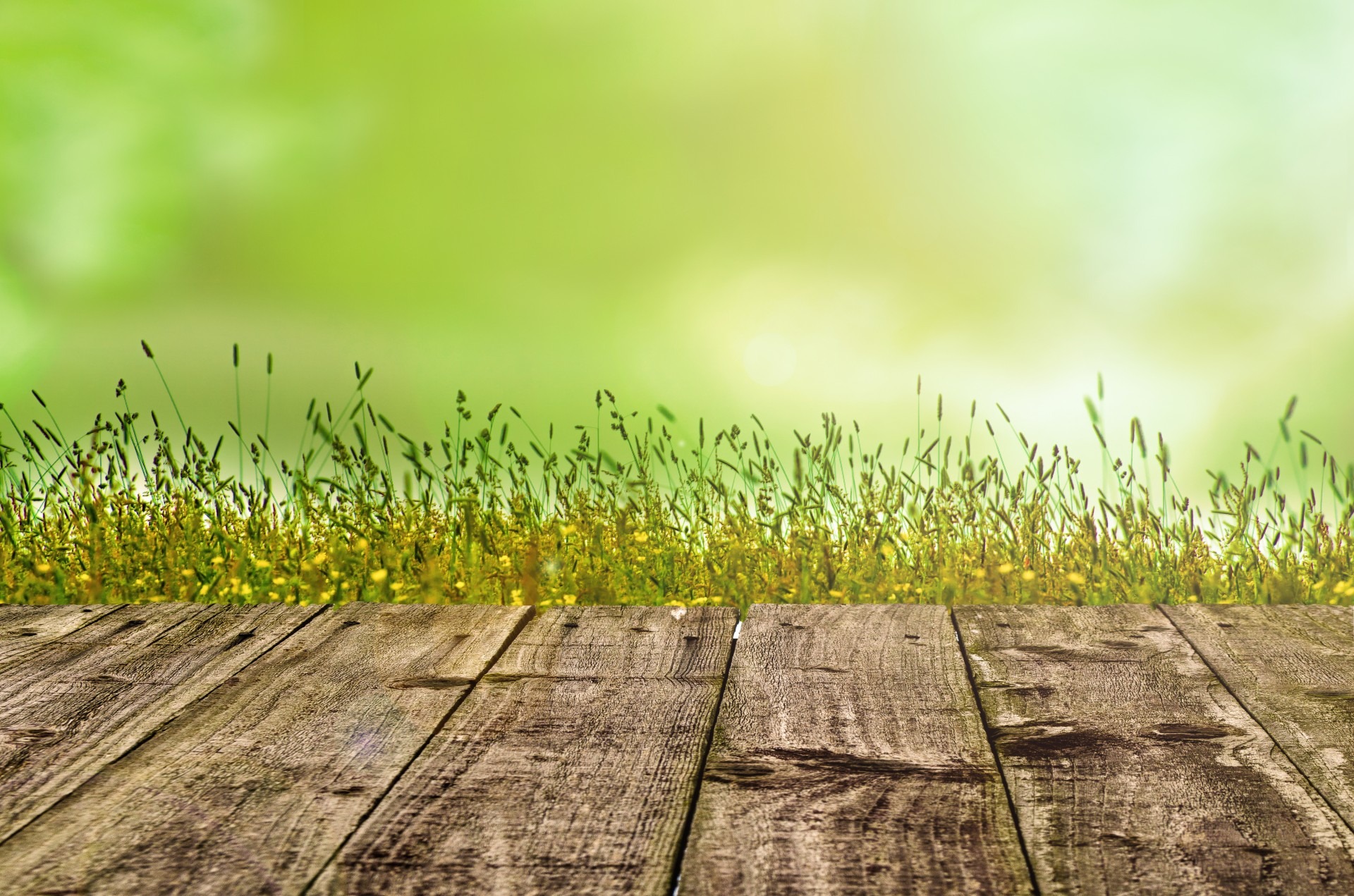 1080P, circle, boardwalk, day, sunlight, horizon, tranquility, crop, park, spring, lawn, horizontal, cereal plant, focus, summer, table, landscape, HD Wallpaper