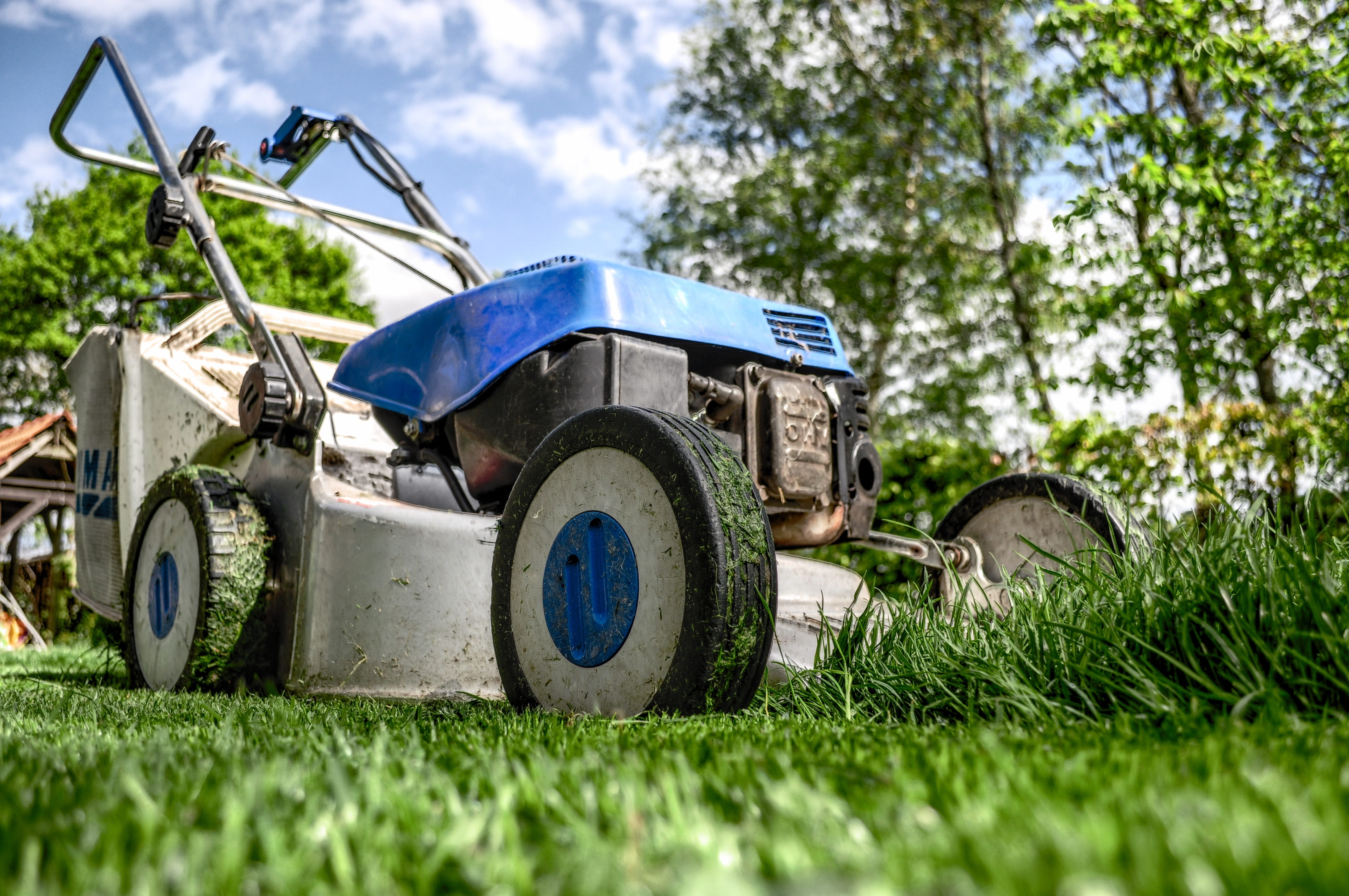grass, 4K, angle, summer, yard, transportation, no people, plant, blue, green color, nature, lawn-mower, backyard, mode of transportation, sport, racecar, HD Wallpaper