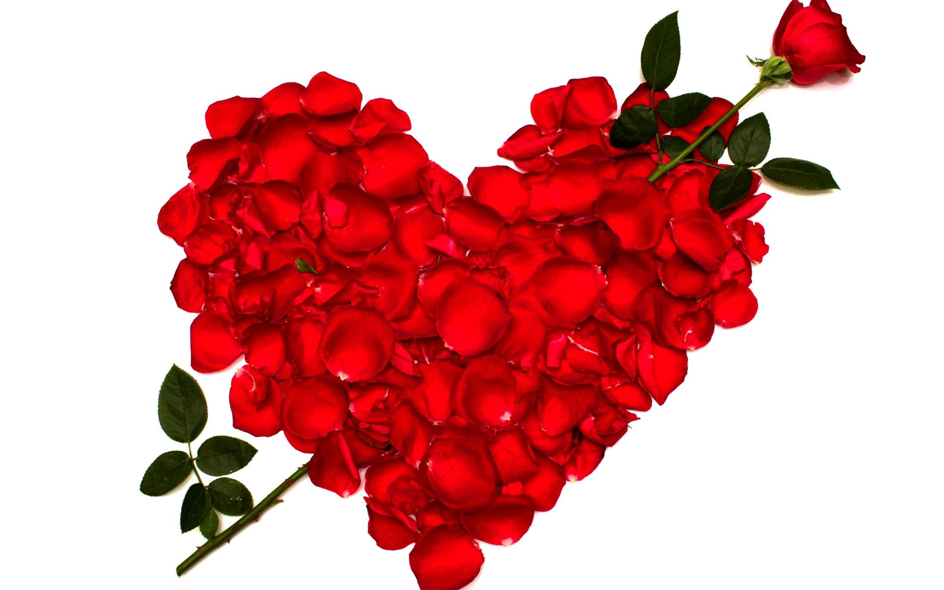 petals, delicate, design, rose, 3d and abstract, 1080P, love, heart, HD Wallpaper