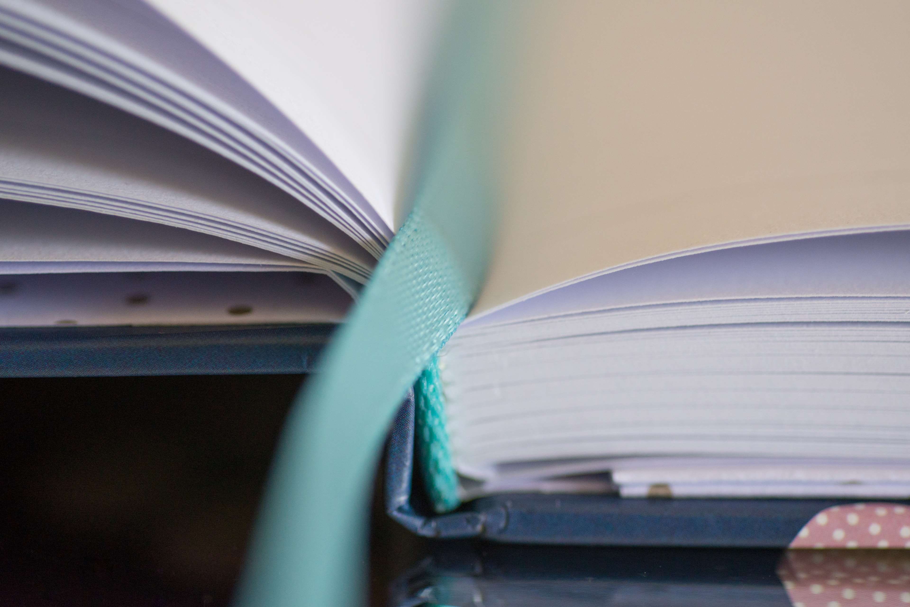 page, abstract, curve, 4K, learning, publication, business, cover, book spine, multi colored, no people, still life, notes, selective focus, connection, HD Wallpaper