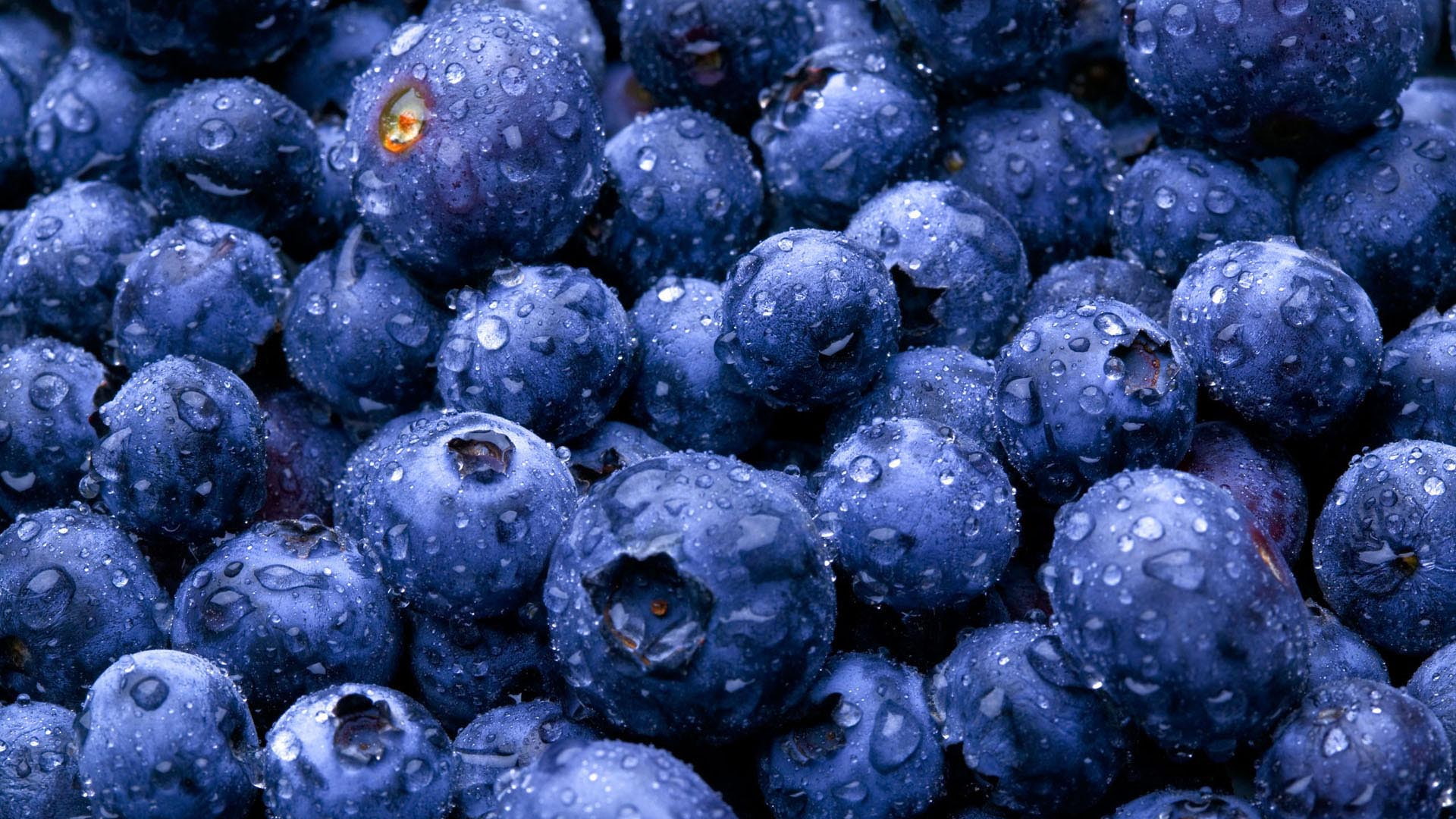 waterdrops, water, blueberries, 1080P, hd, HD Wallpaper
