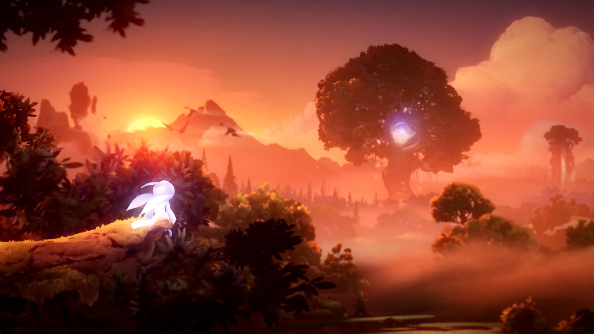 Ori and the Will of the Whisps, 1080P, Ori, HD Wallpaper