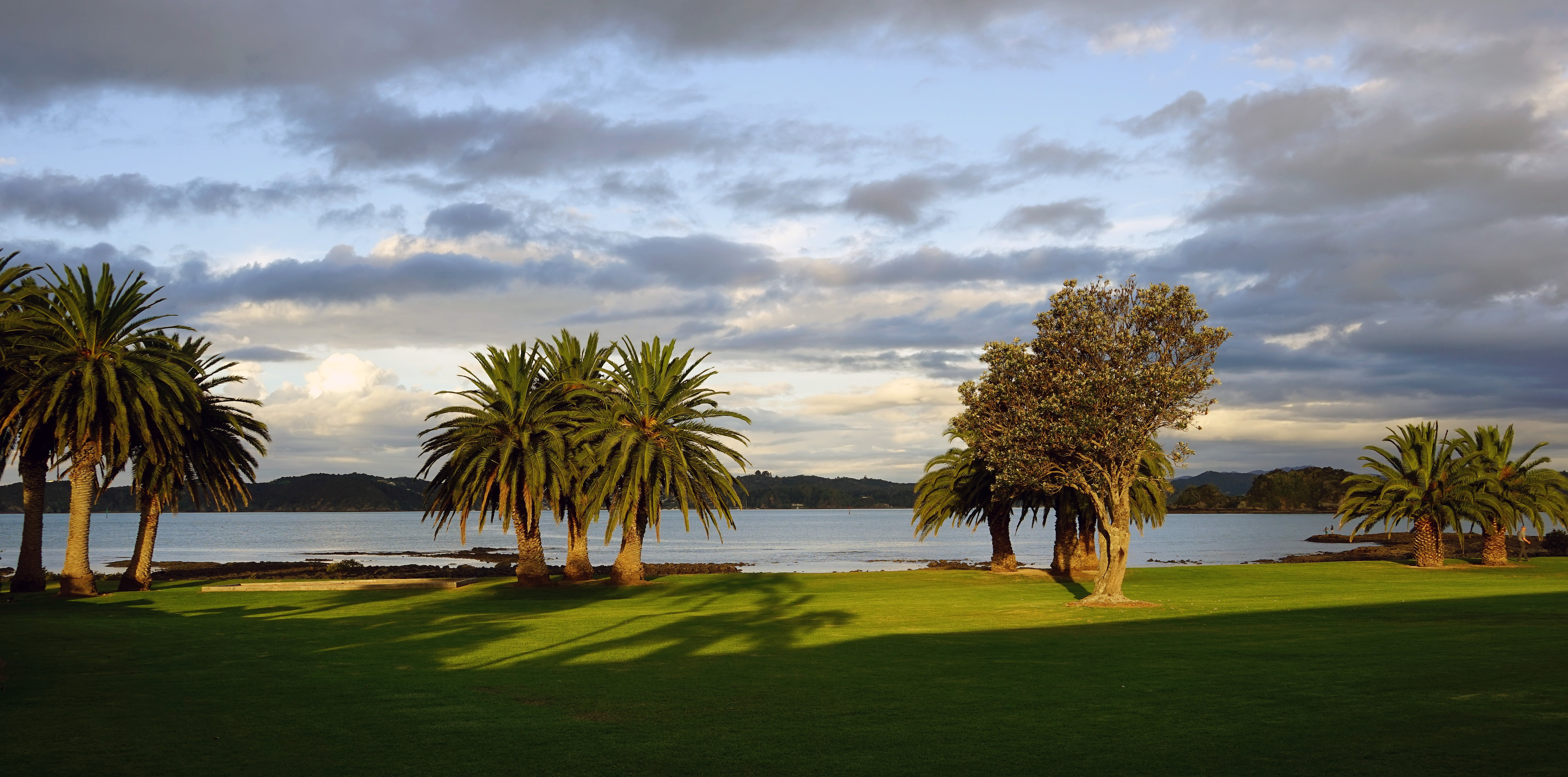 5K, nature, sky, green color, scenics, cloud - sky, tree, near, tranquil scene, tropical climate, north island, growth, outdoors, no people, sea, environment, HD Wallpaper