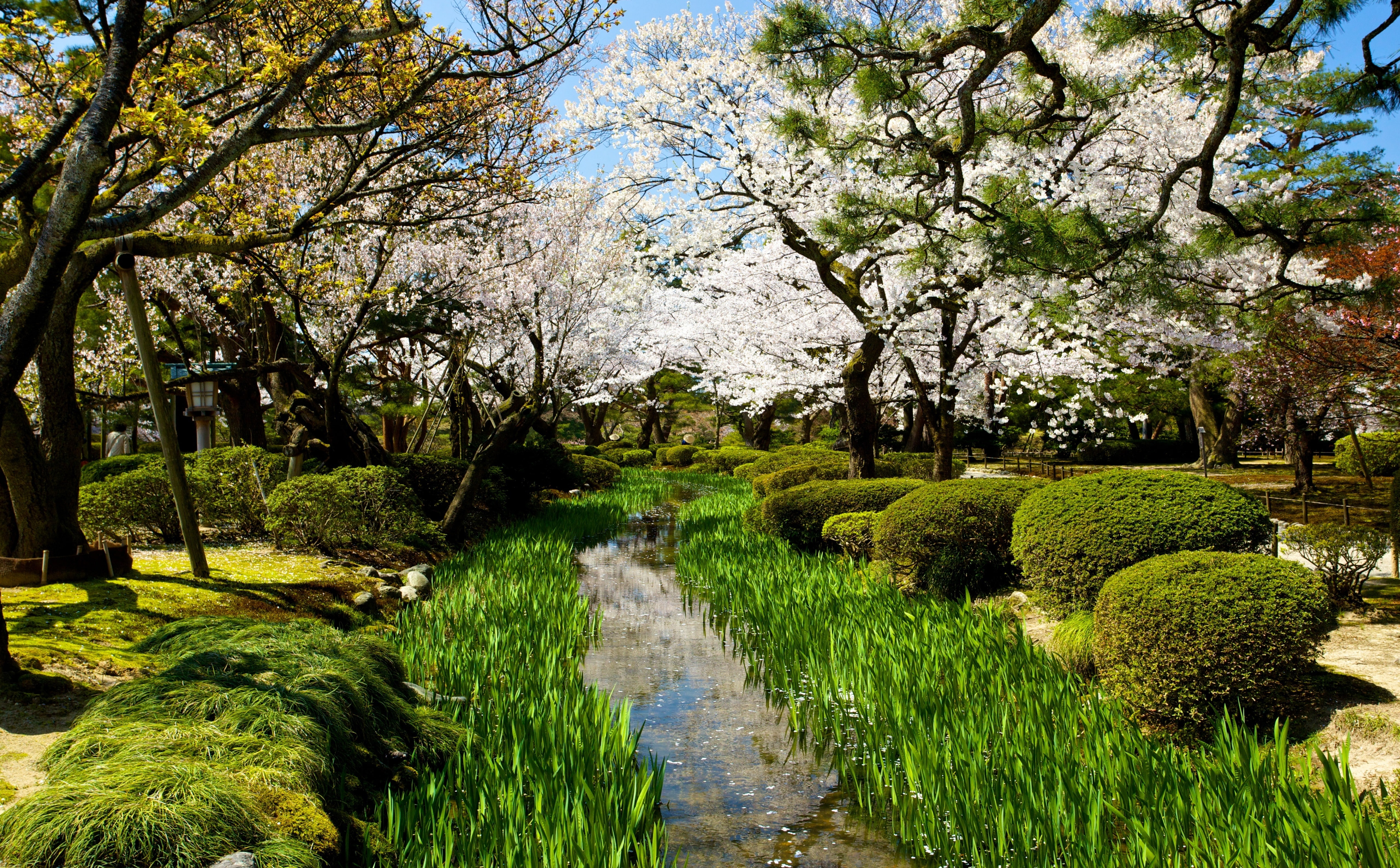 Nature, day, en, flowing, 5K, footpath, Vacation, kenroku, tranquility, canal, Japan, downloading, three, water, plant, Tour, kenrokuen, Scenery, View, HD Wallpaper
