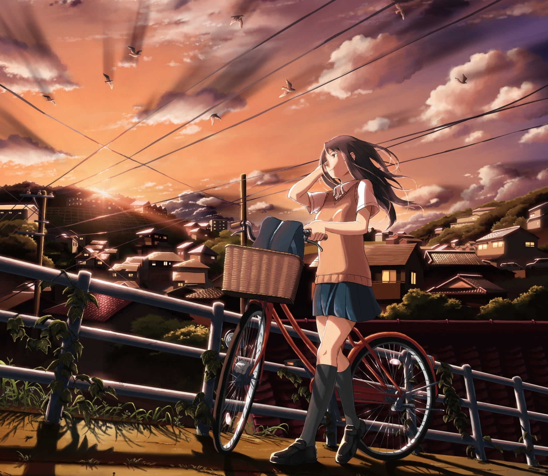bike, birds, rear view, beautiful, happiness, summer, anime, fashion, clouds, caucasian Ethnicity, one Woman Only, city, leisure Activity, wallapper, females, HD Wallpaper