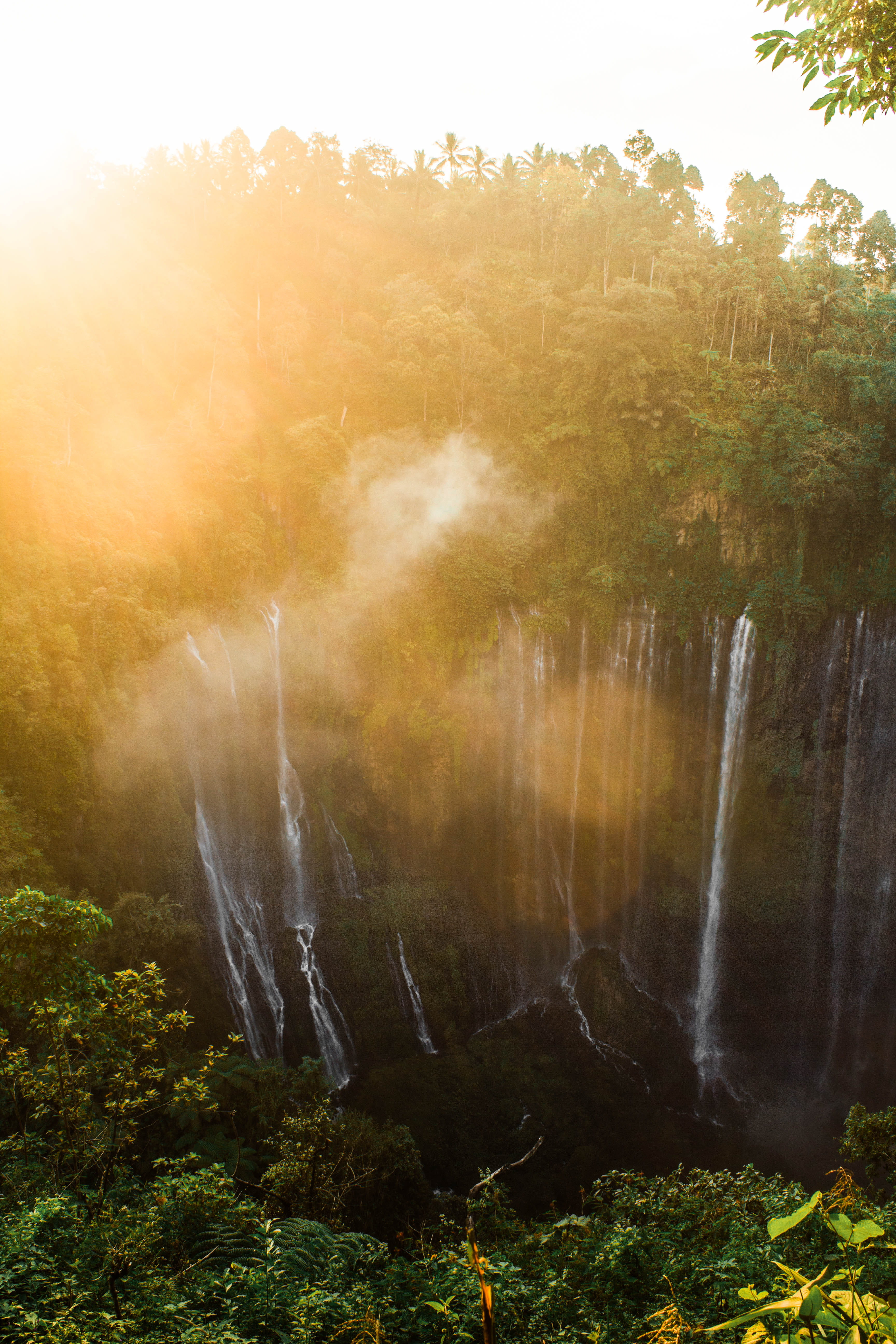 tranquil scene, sunbeam, rainforest, land, water, sunlight, waterfall, tumpak sewu waterfall, 5K, power in nature, environment, beauty in nature, flowing, Phone HD Wallpaper