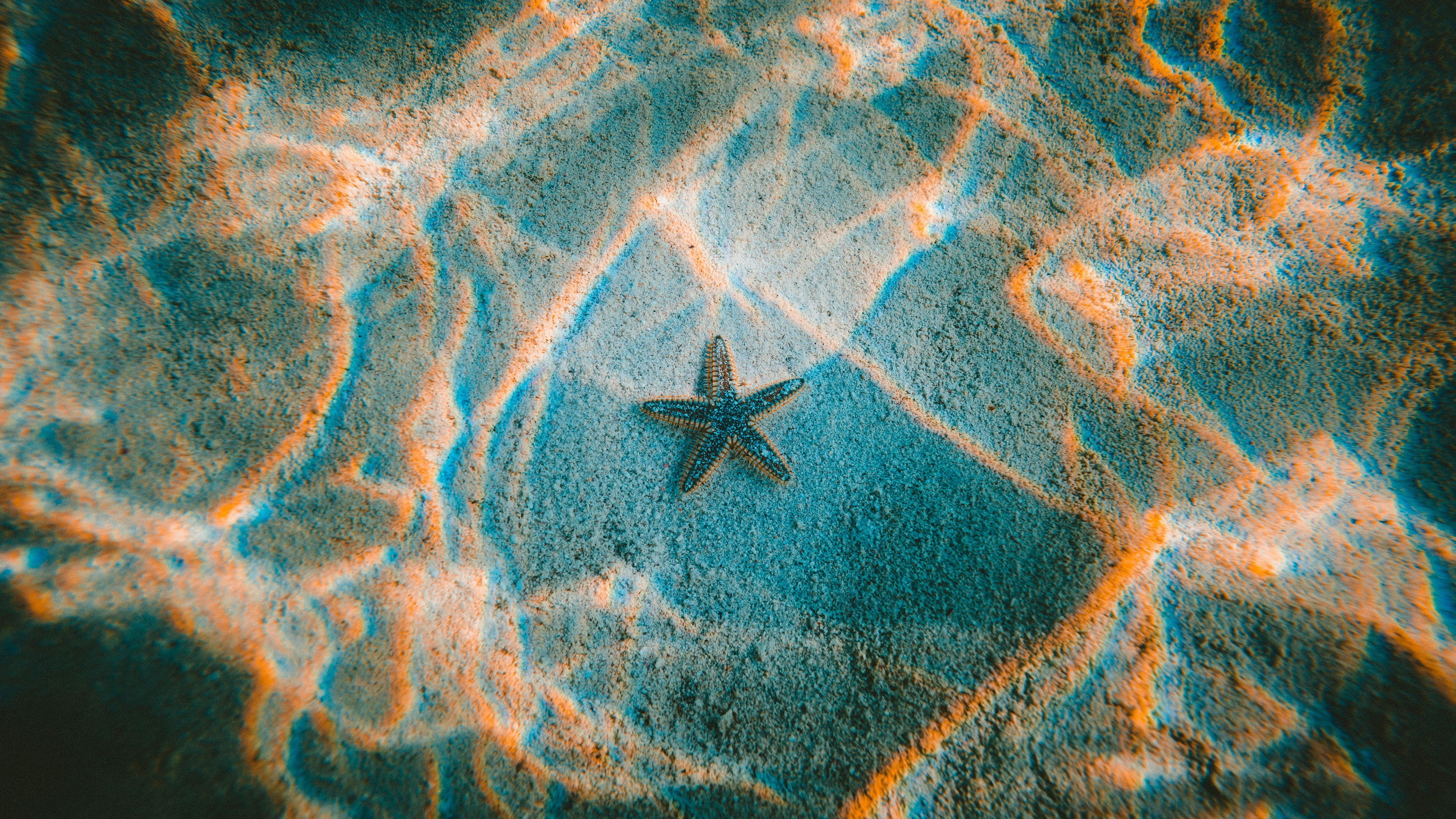 sun rays, starfish, underwater, 4K, waves, Jakob Owens, photography, natural light, HD Wallpaper