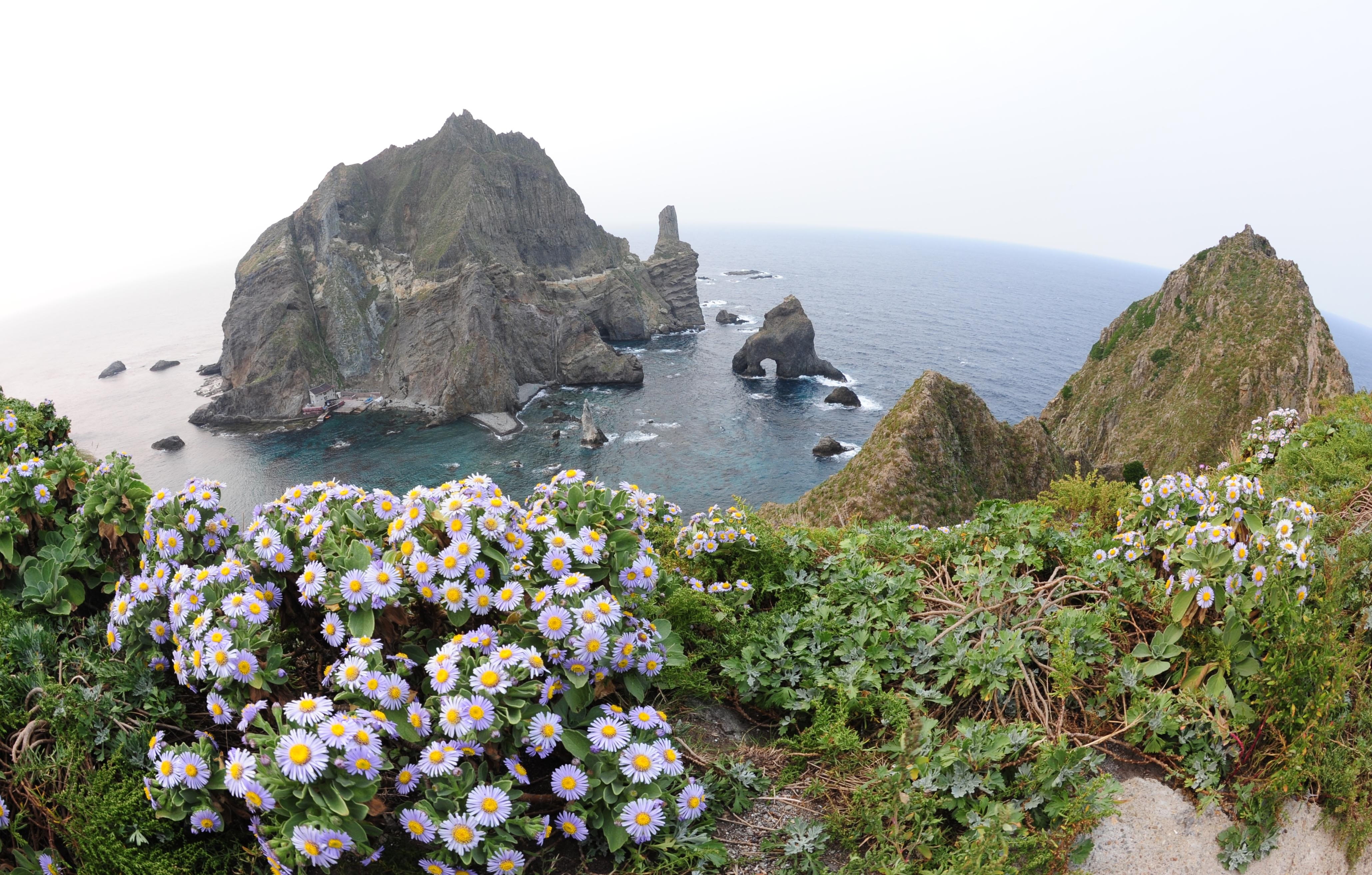 rock - object, dokdo seals, outdoors, sky, flowers, rock formation, gyeongsangbuk-do, sea, 19, Korea, our territory, no people, beauty in nature, bay, tranquil scene, HD Wallpaper
