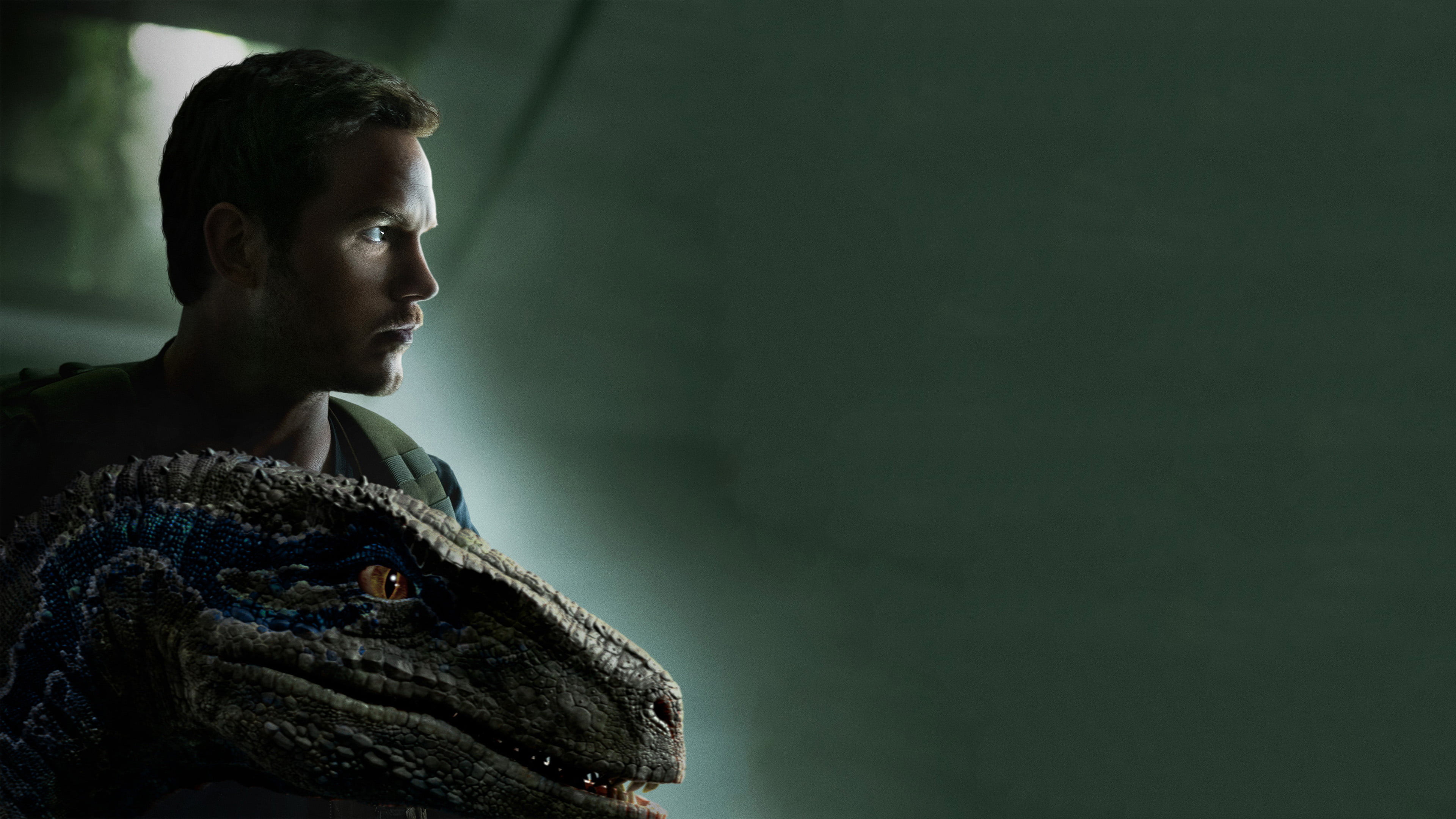 headshot, profile view, dark, looking away, portrait, 2018 movies, contemplation, copy space, jurassic world, brown hair, mid adult, side view, adult, young adult, HD Wallpaper