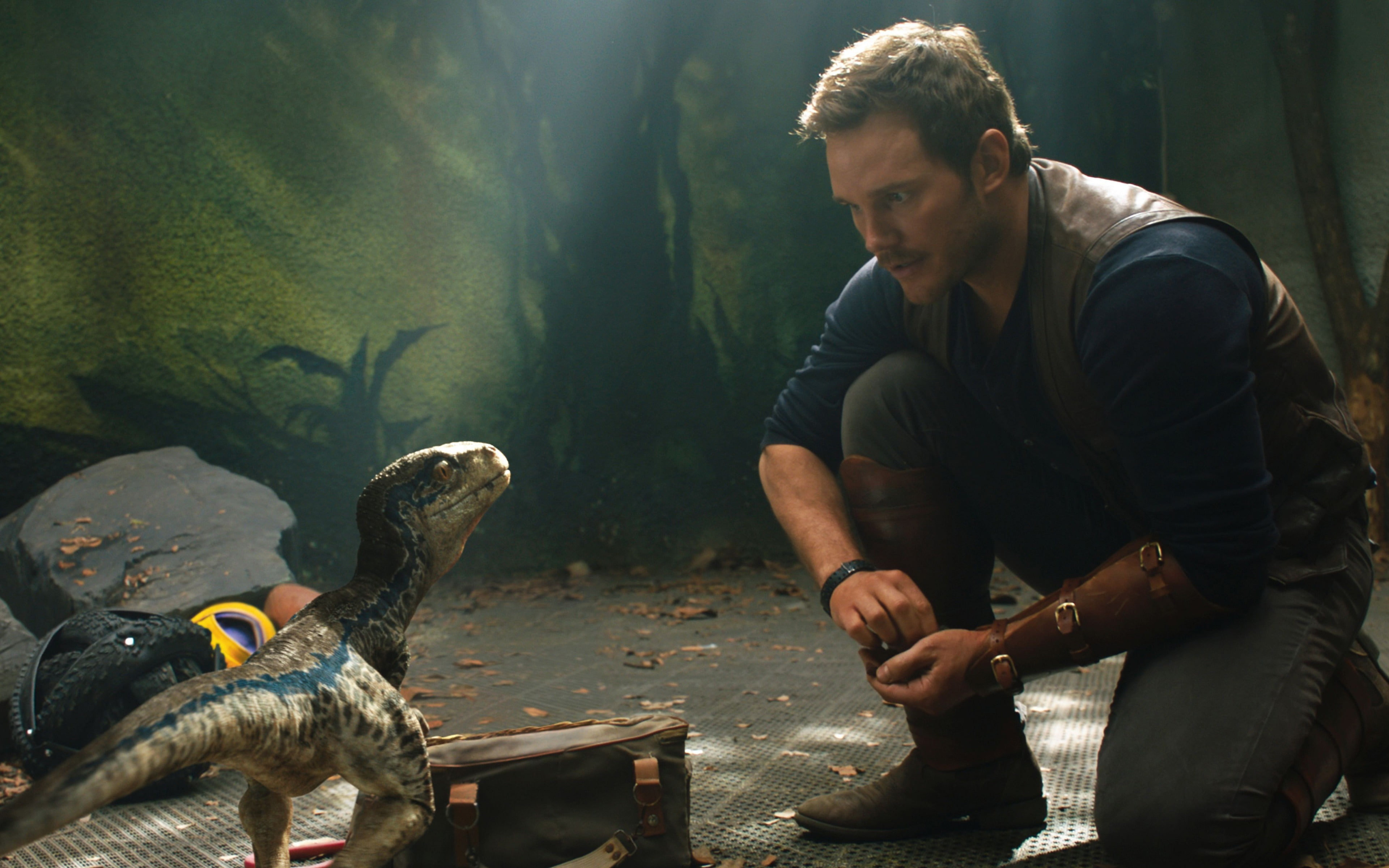 kingdom, men, young men, three quarter length, day, animal wildlife, fallen, hd, indoors, one person, young adult, 4K, jurassic, poster, adult, world, HD Wallpaper