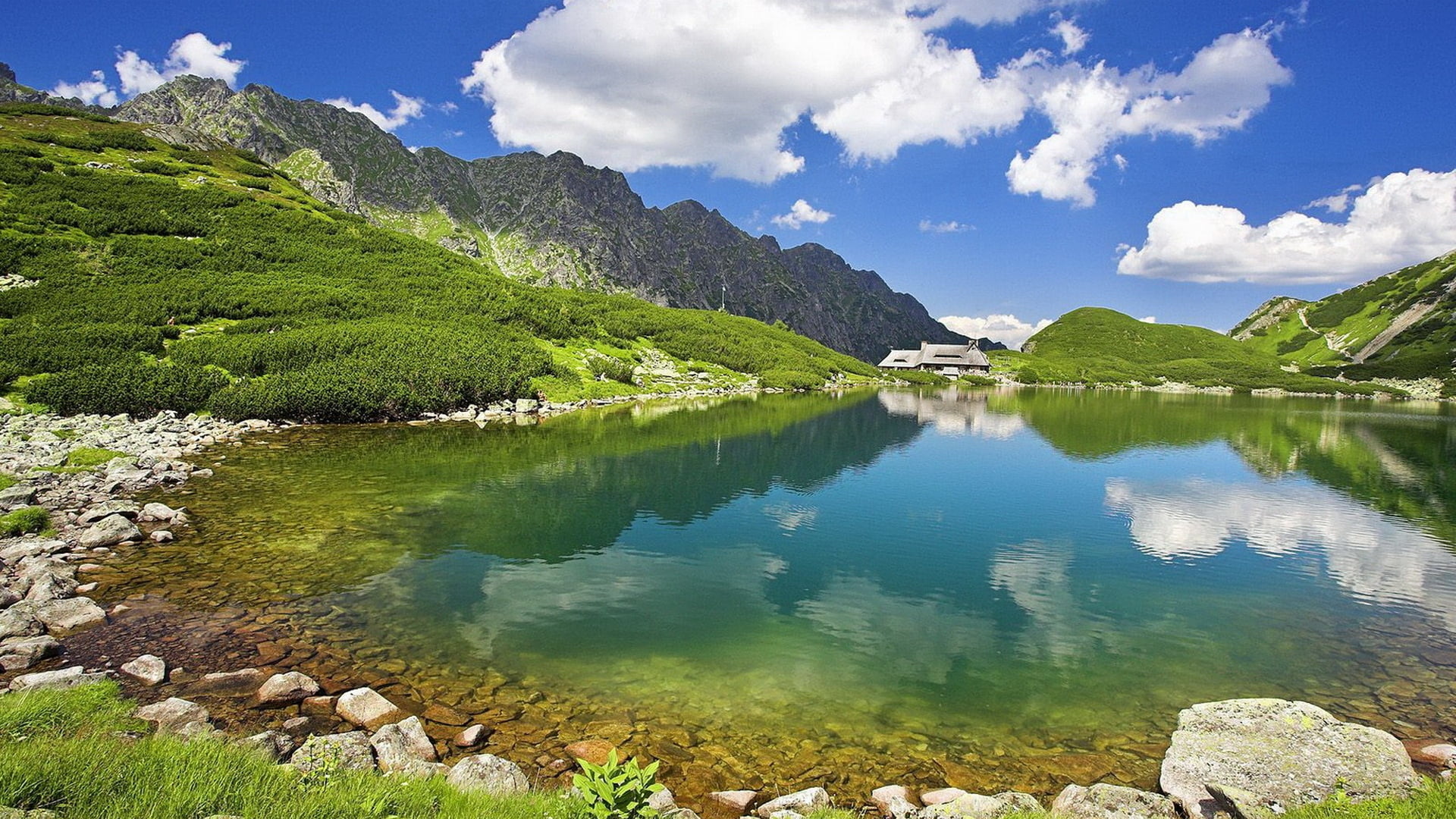 tree, sunny, journey, landscape, green Color, hill, sunlight, zakopane, sun, travel Destinations, european Alps, stone - Object, reflection, no people, HD Wallpaper