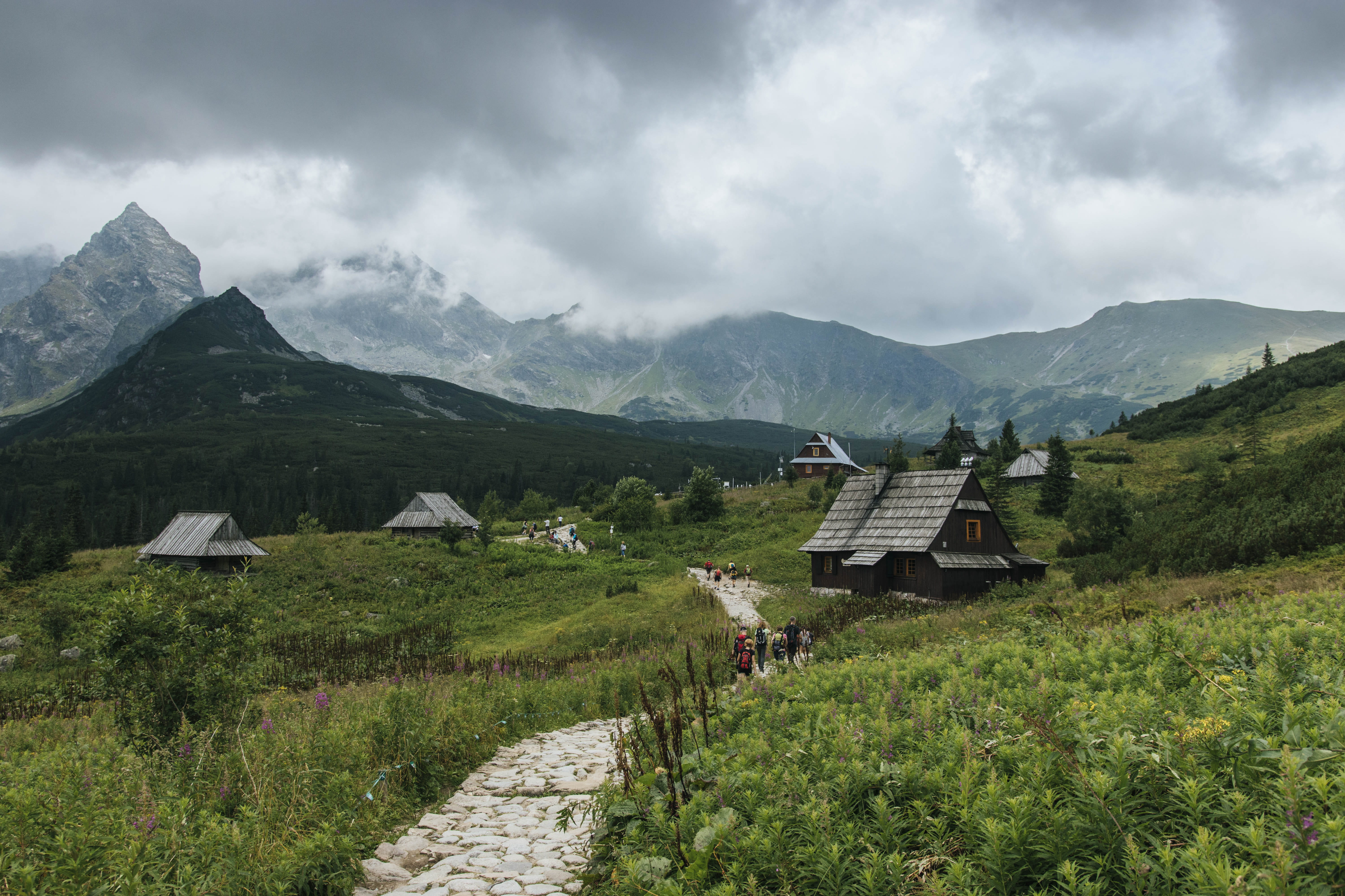 place of worship, zakopane, field, hill, scenic, beauty in nature, grass, scenics - nature, wooden, built structure, no people, day, plant, HD Wallpaper