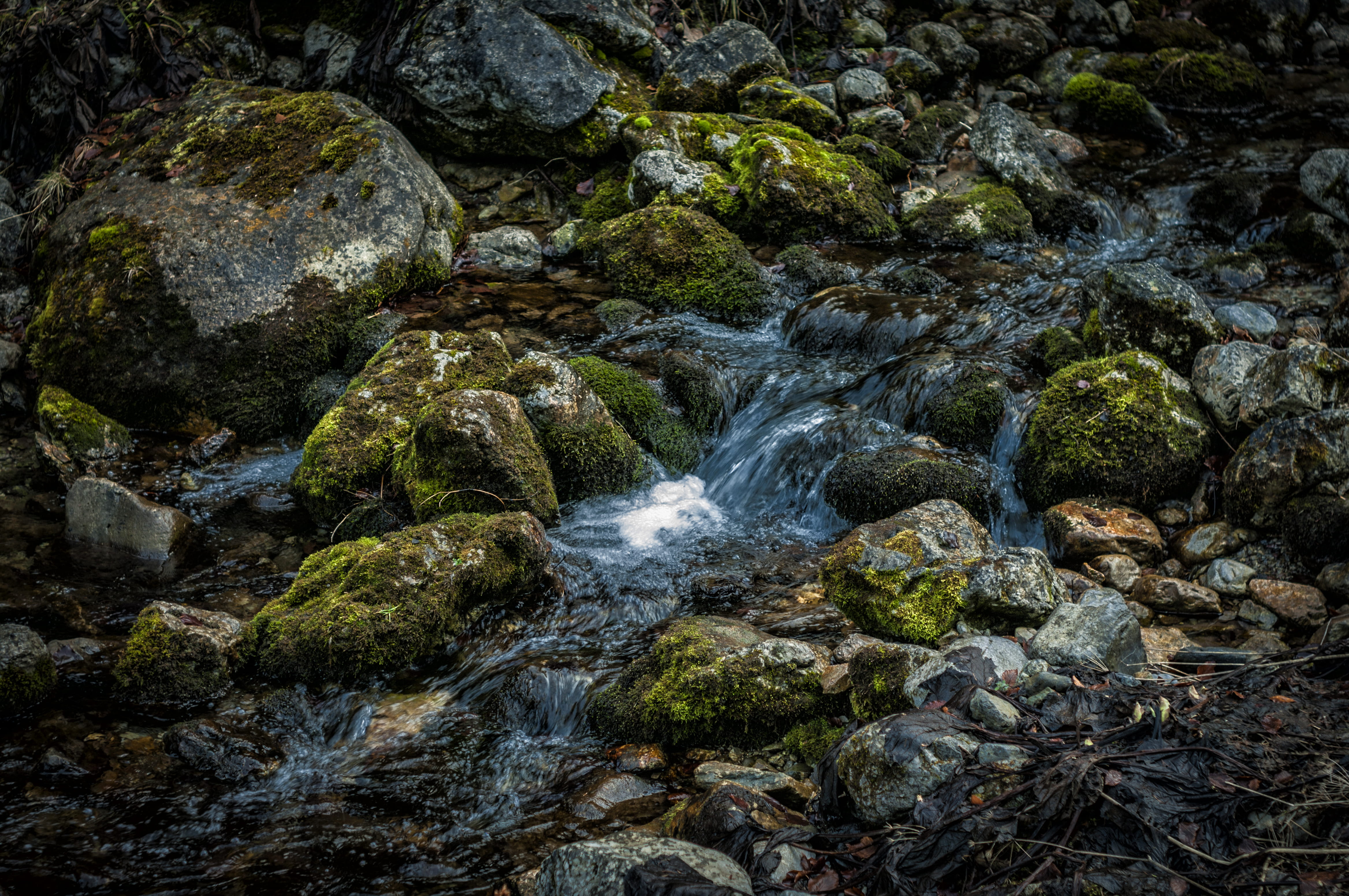 stream - flowing water, 4K, outdoors, beauty in nature, plant, forest, rock - object, no people, mountain, creek, land, nature, motion, water, zakopane, HD Wallpaper